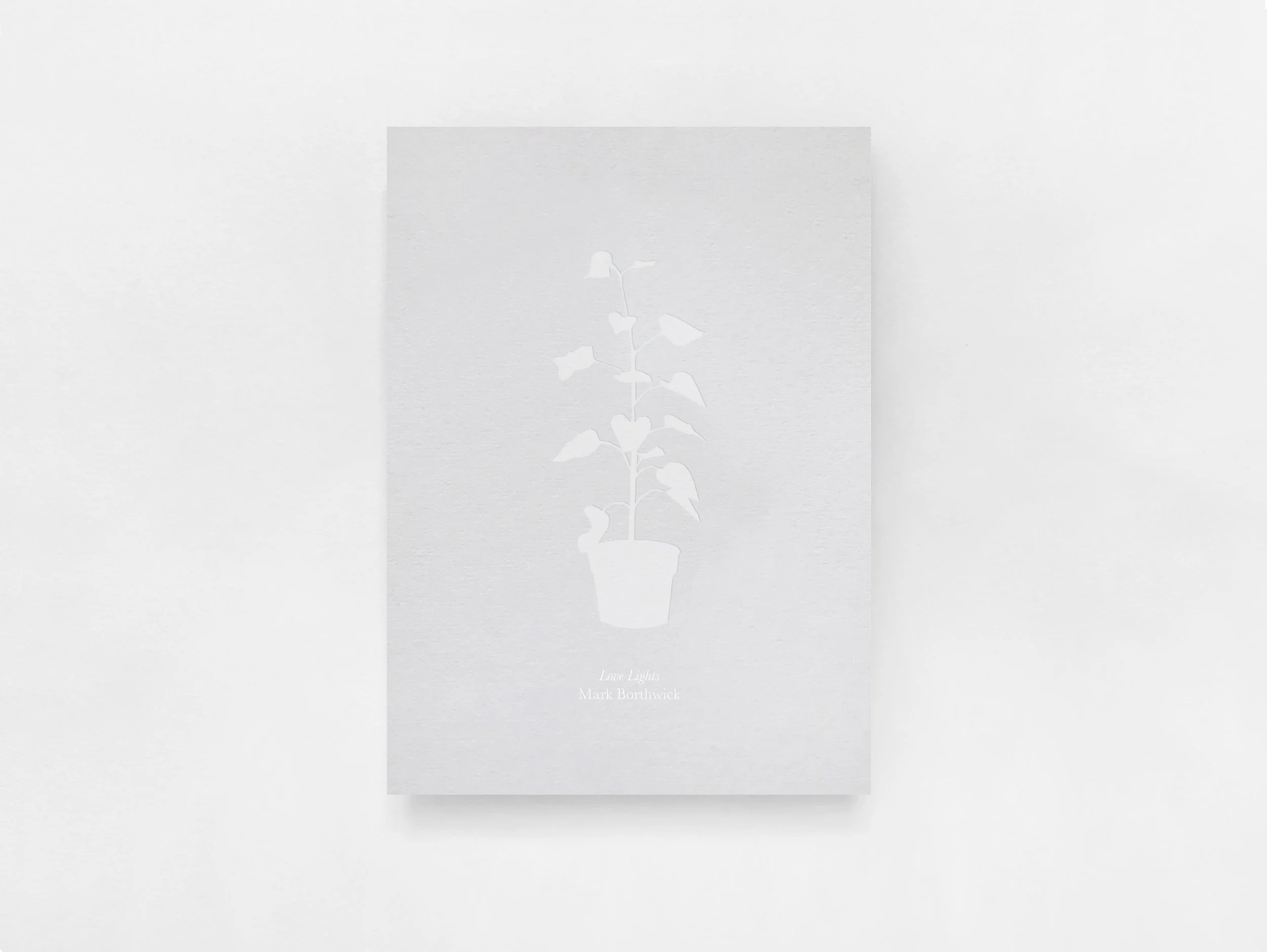 Love  Lights by Mark Borthwick