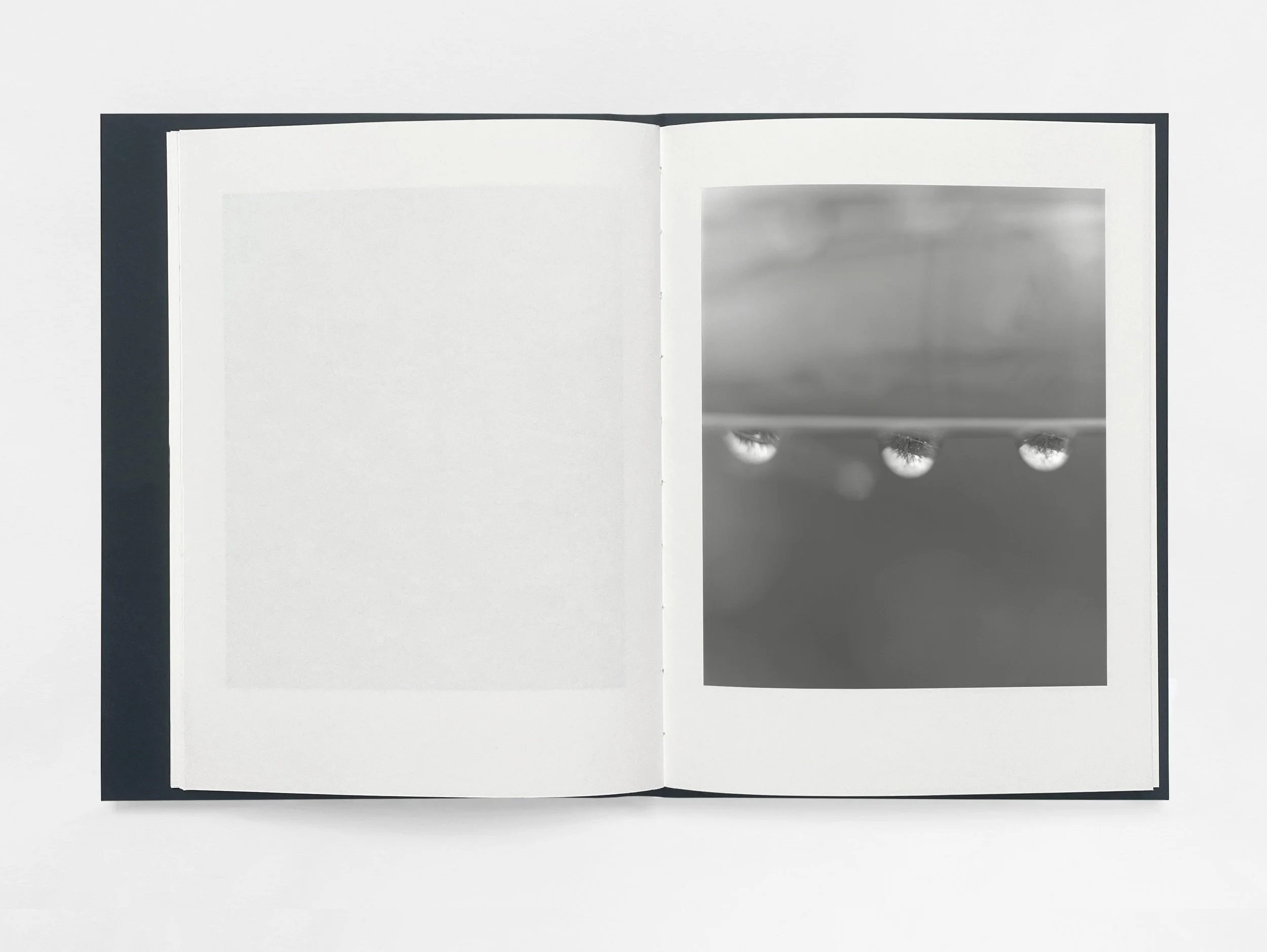 SL_Spreads_04.jpg