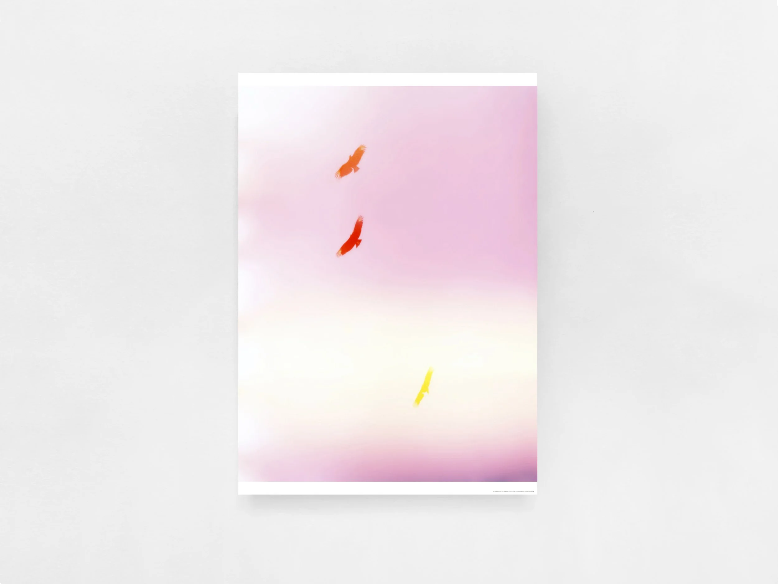 Poster 02 / all the best bird`s feel her By Mark Borthwick