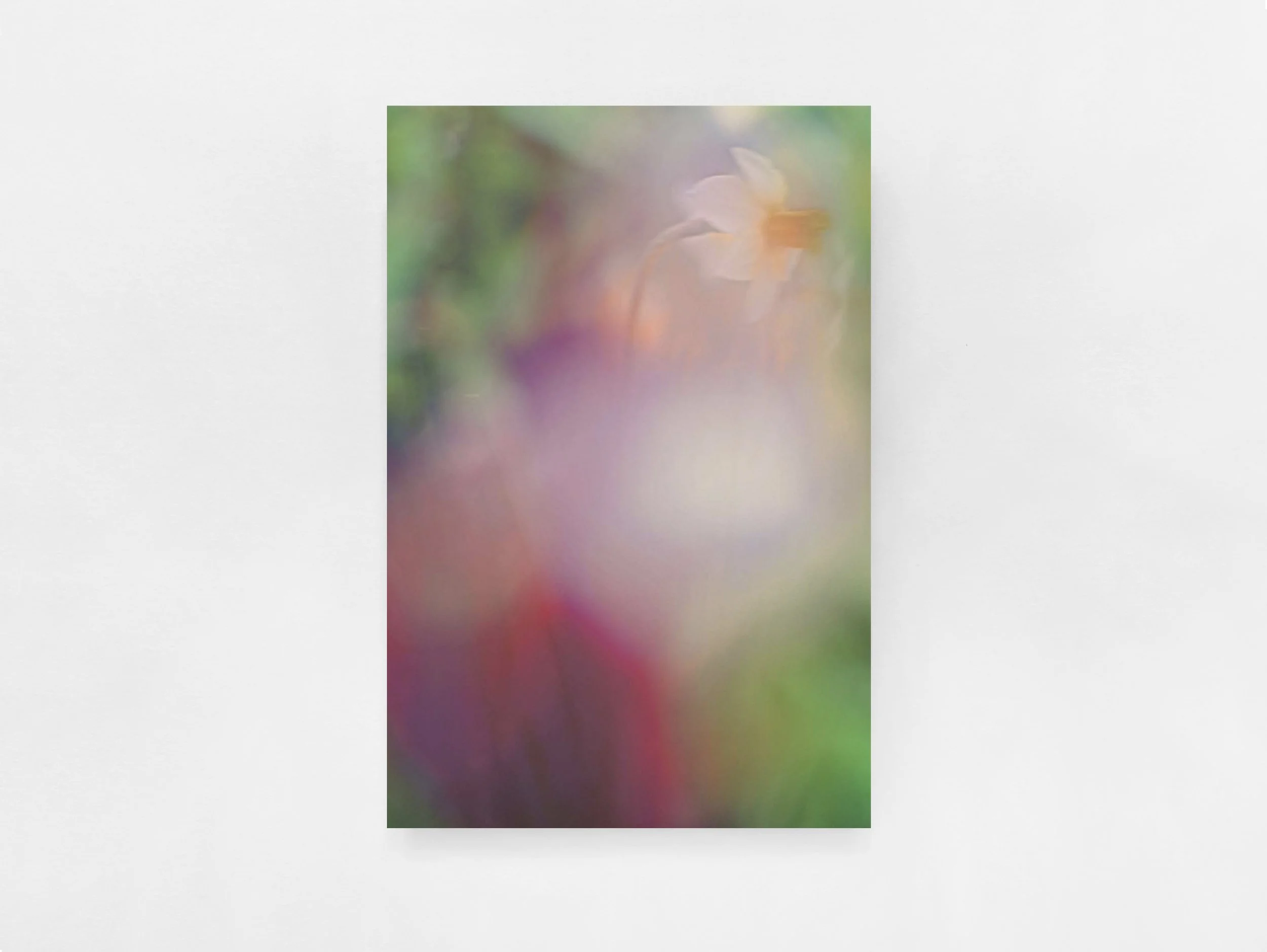 Prints /  The Autumns of Spring by Jordan Sullivan (1-5)