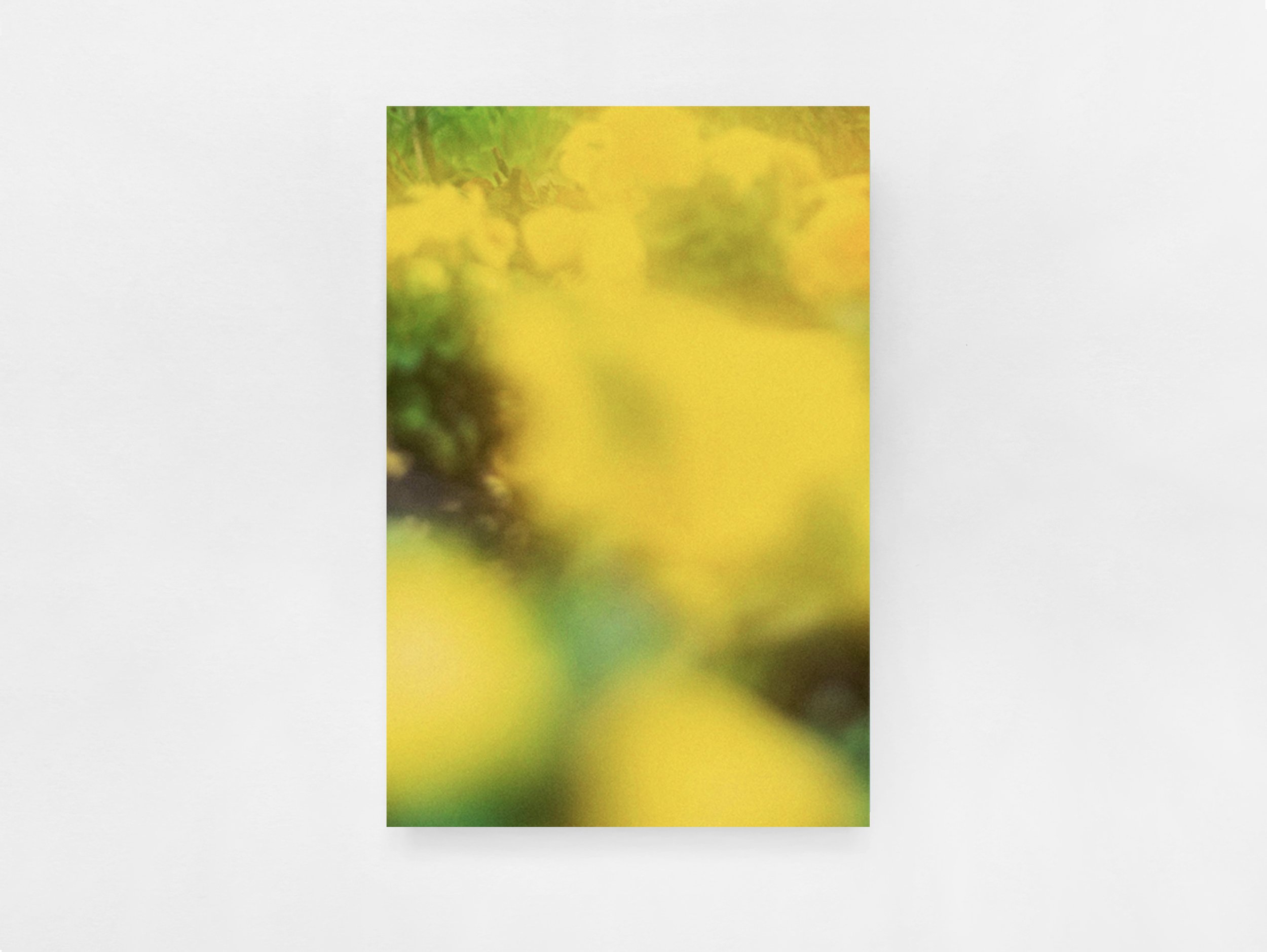 Prints /  The Autumns of Spring by Jordan Sullivan (6-10)