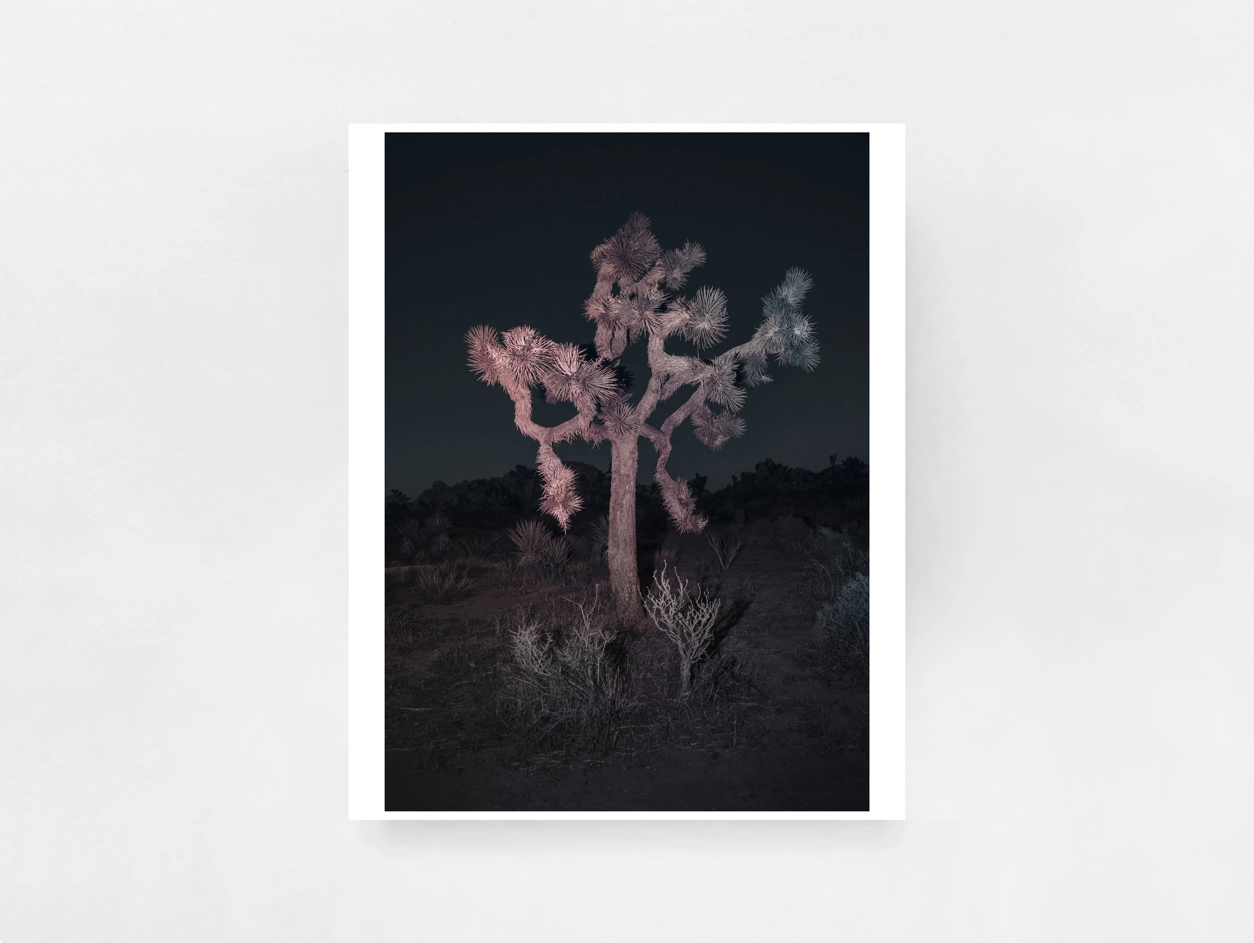 Strange Nature by Delaney Allen (Special Edition with Print)
