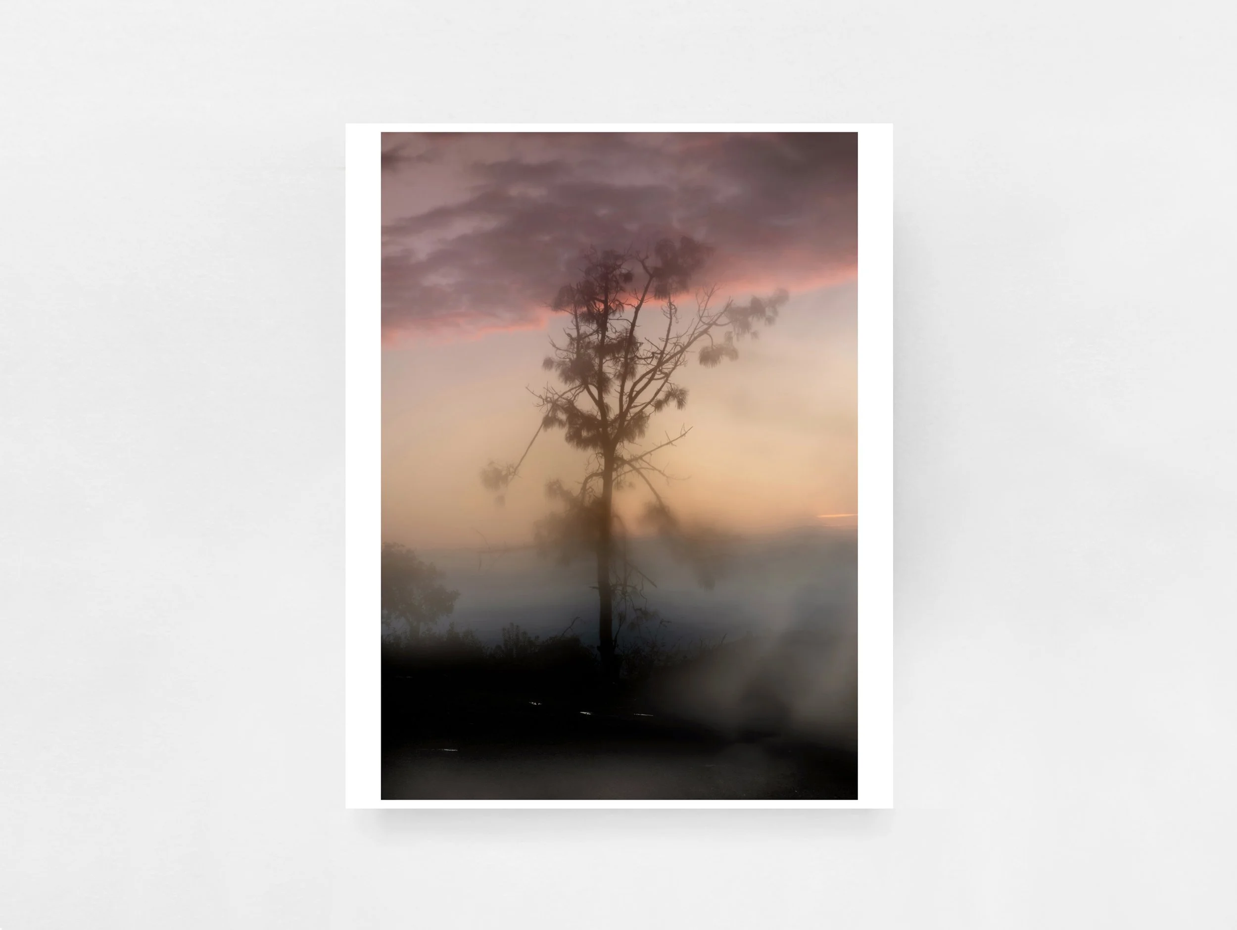 Strange Nature by Delaney Allen (Special Edition with Print)