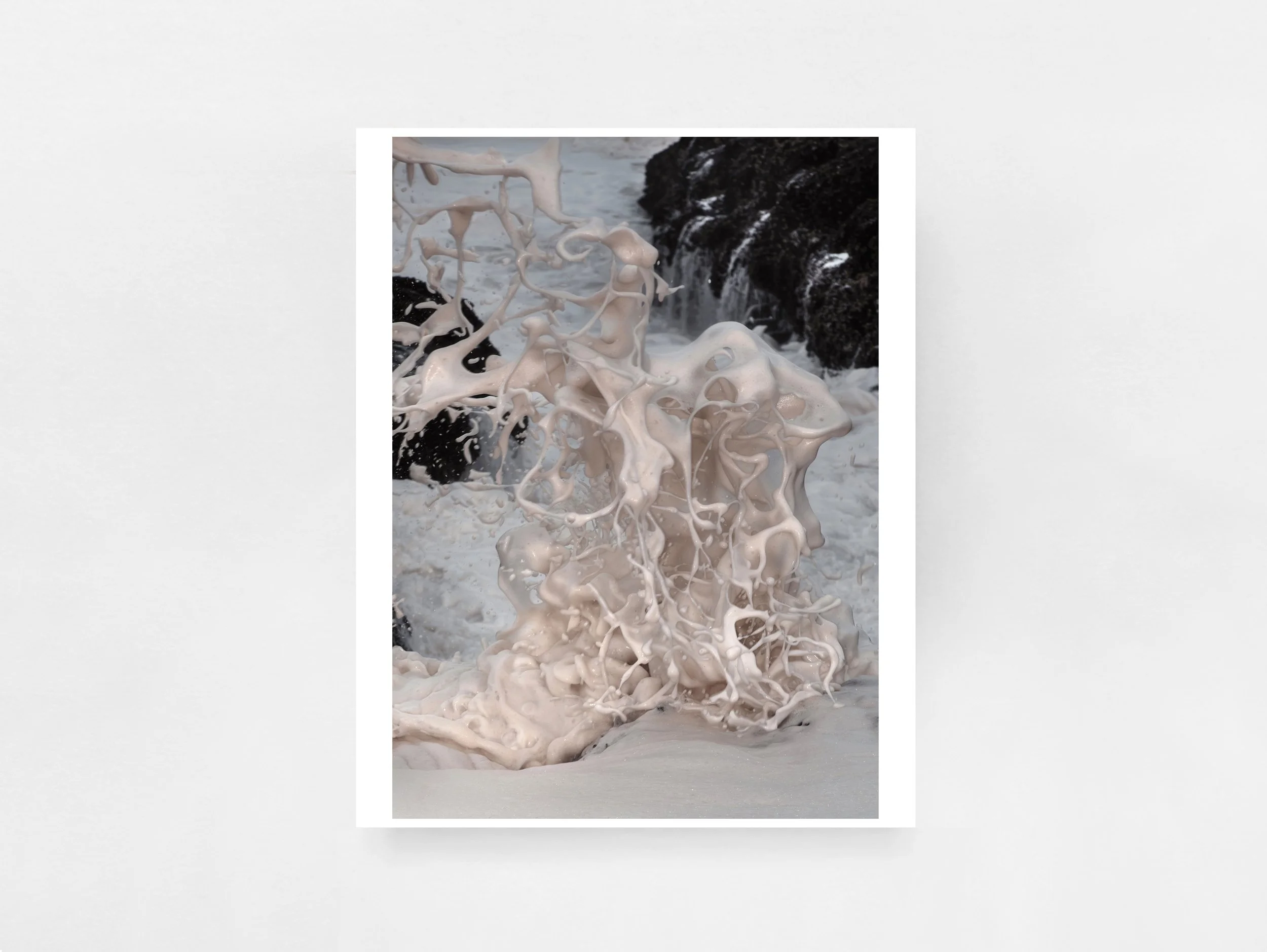 Strange Nature by Delaney Allen (Special Edition with Print)