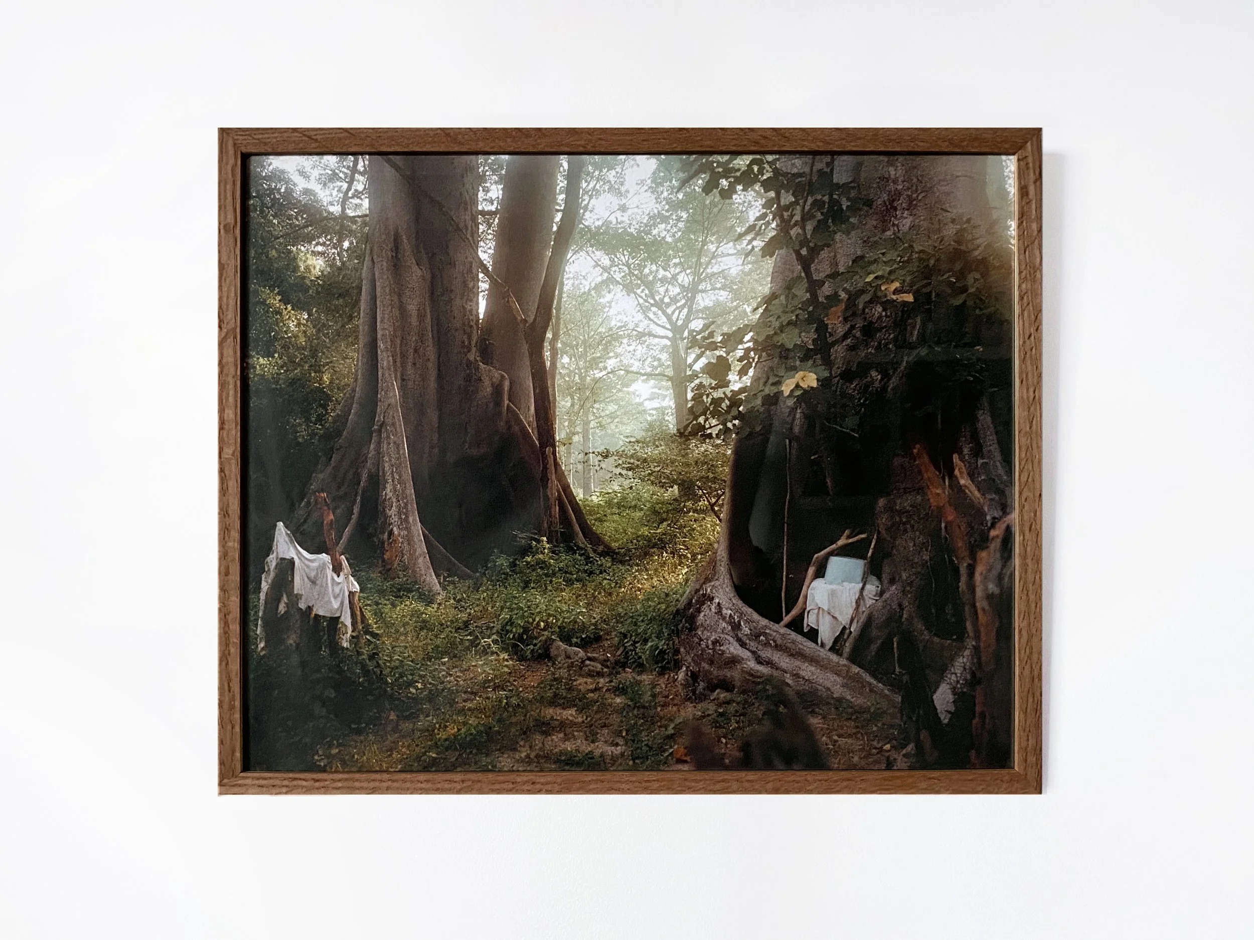 Henry_framed Print_01.jpg