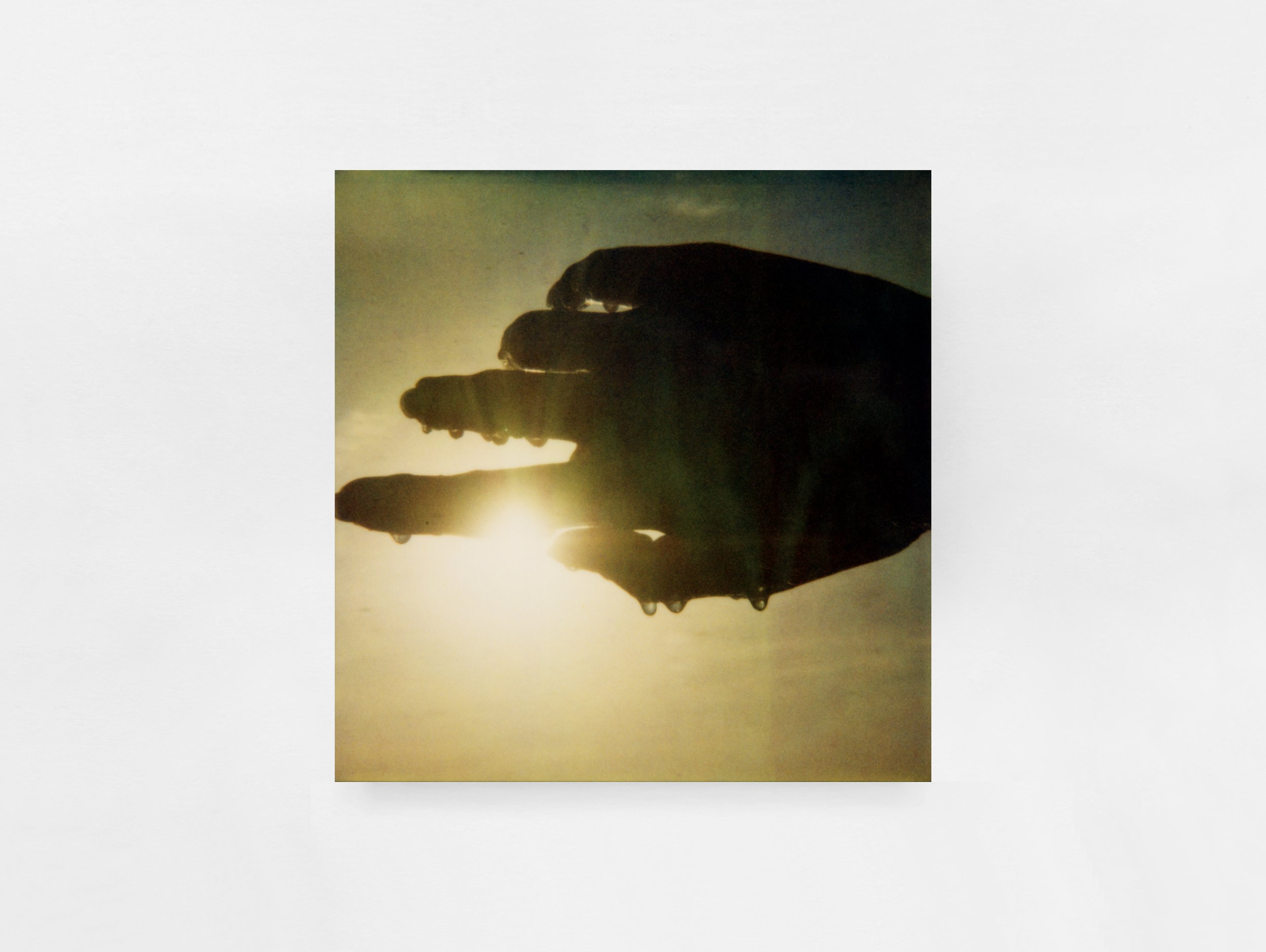 Day / Night by Wing Shya