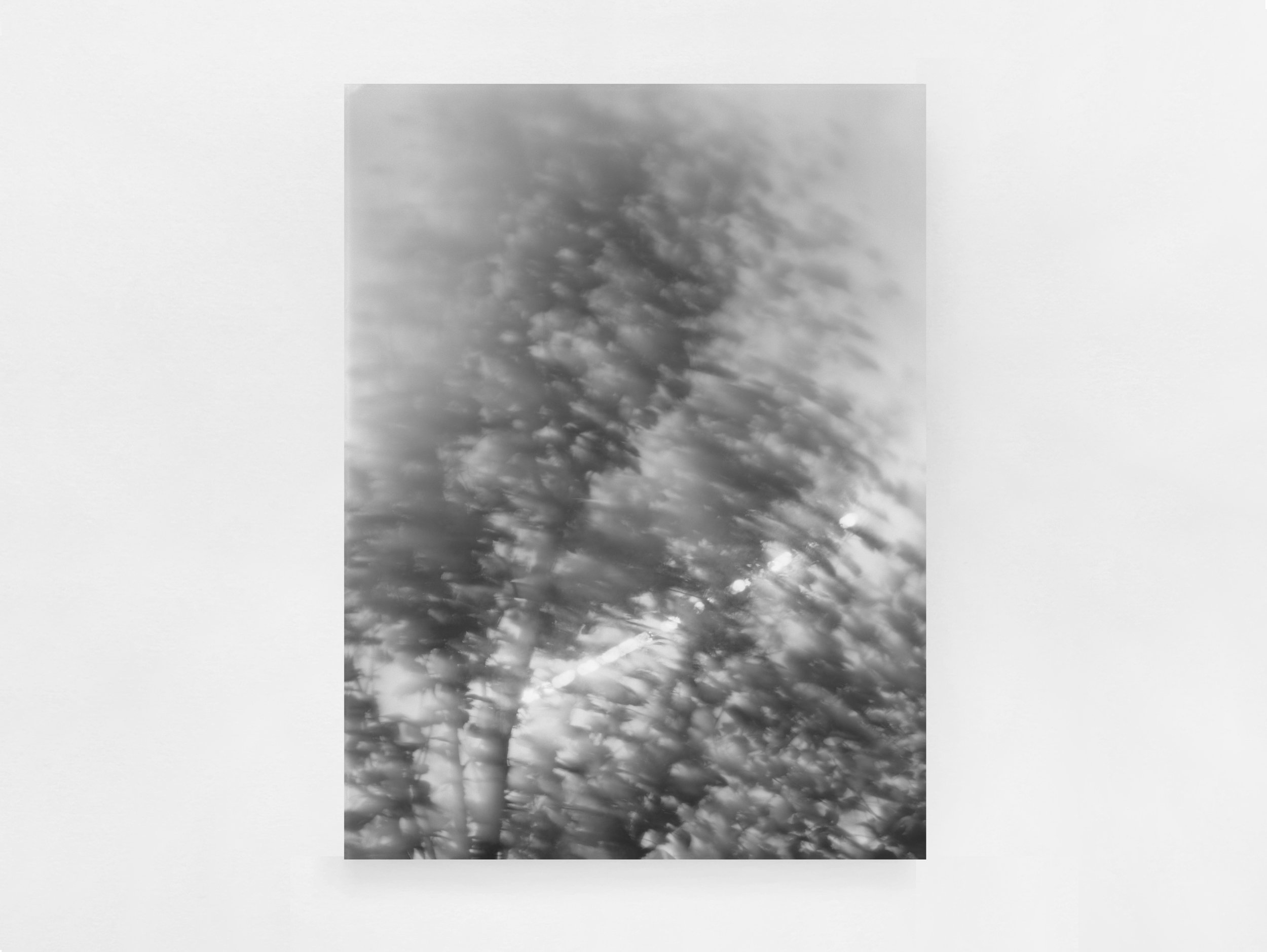 Birch (Gameshope) by Sam Laughlin