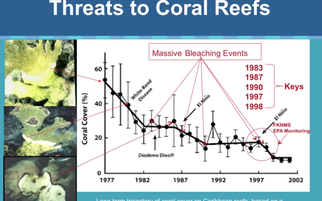 KEYS WATER QUALITY:  The Buck Stops Here / NOW ON VIDEO