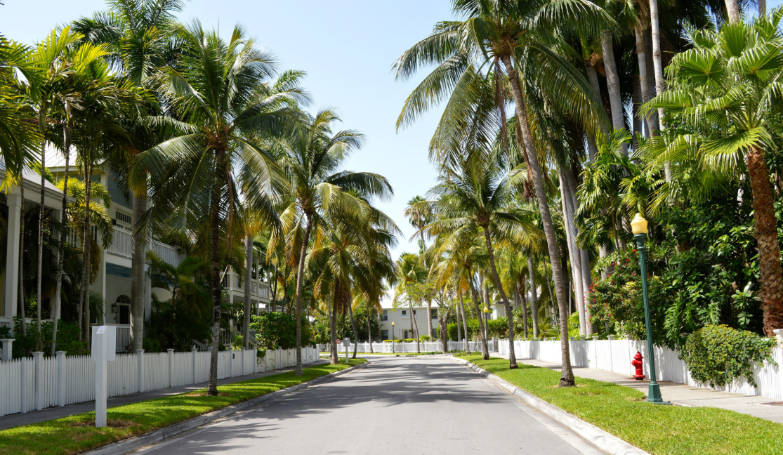 Last Stand’s Letter to the City of Key West on Truman Annex Transient Licenses