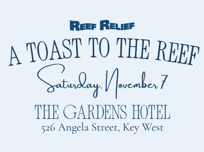 A Toast to the Reef: Celebrating 40 Years of Reef Relief