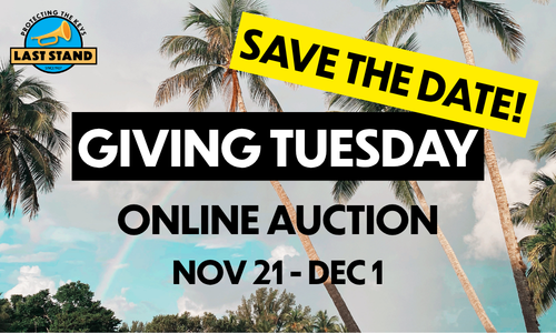 Giving Tuesday Online Auction