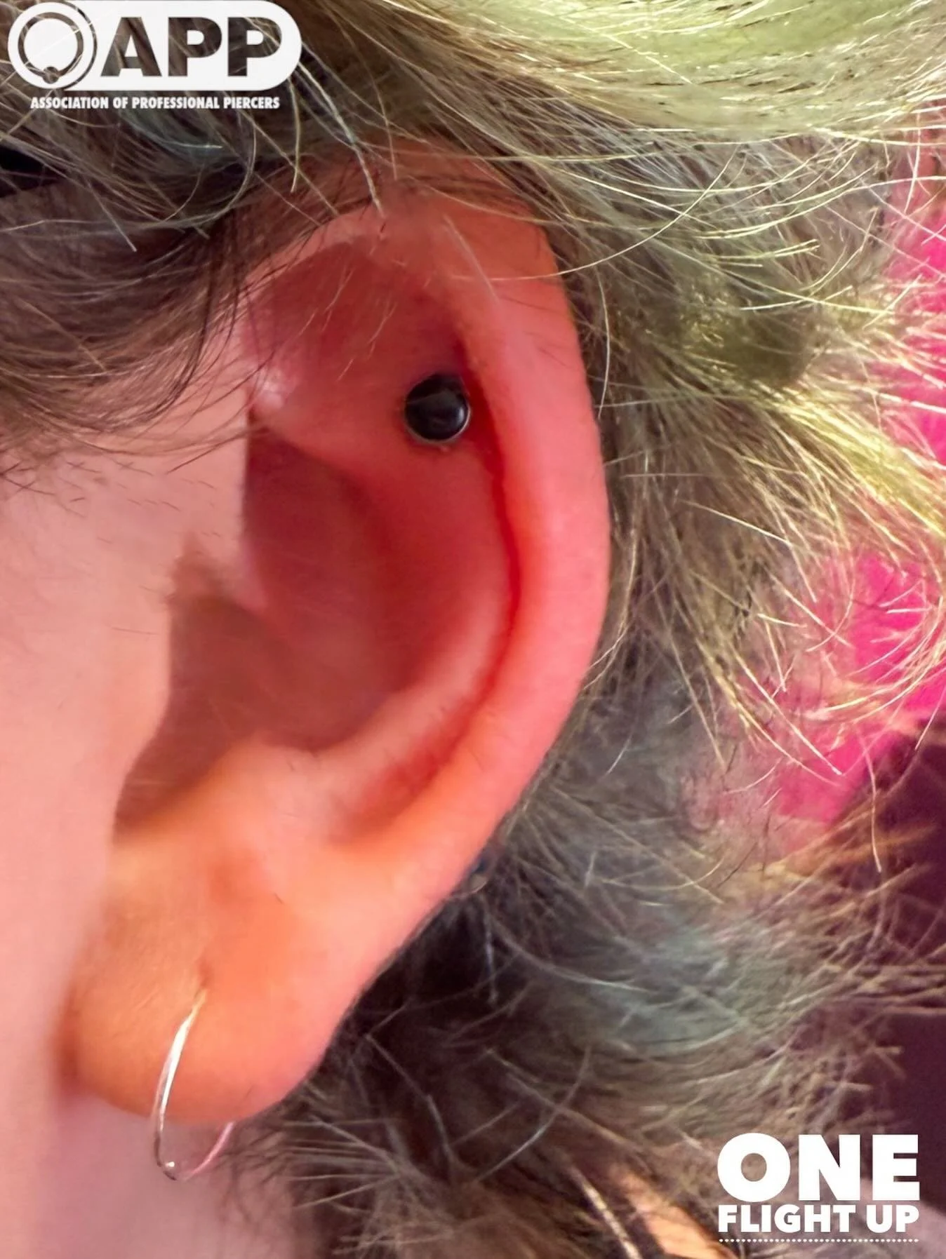 I love unique anatomy🩷