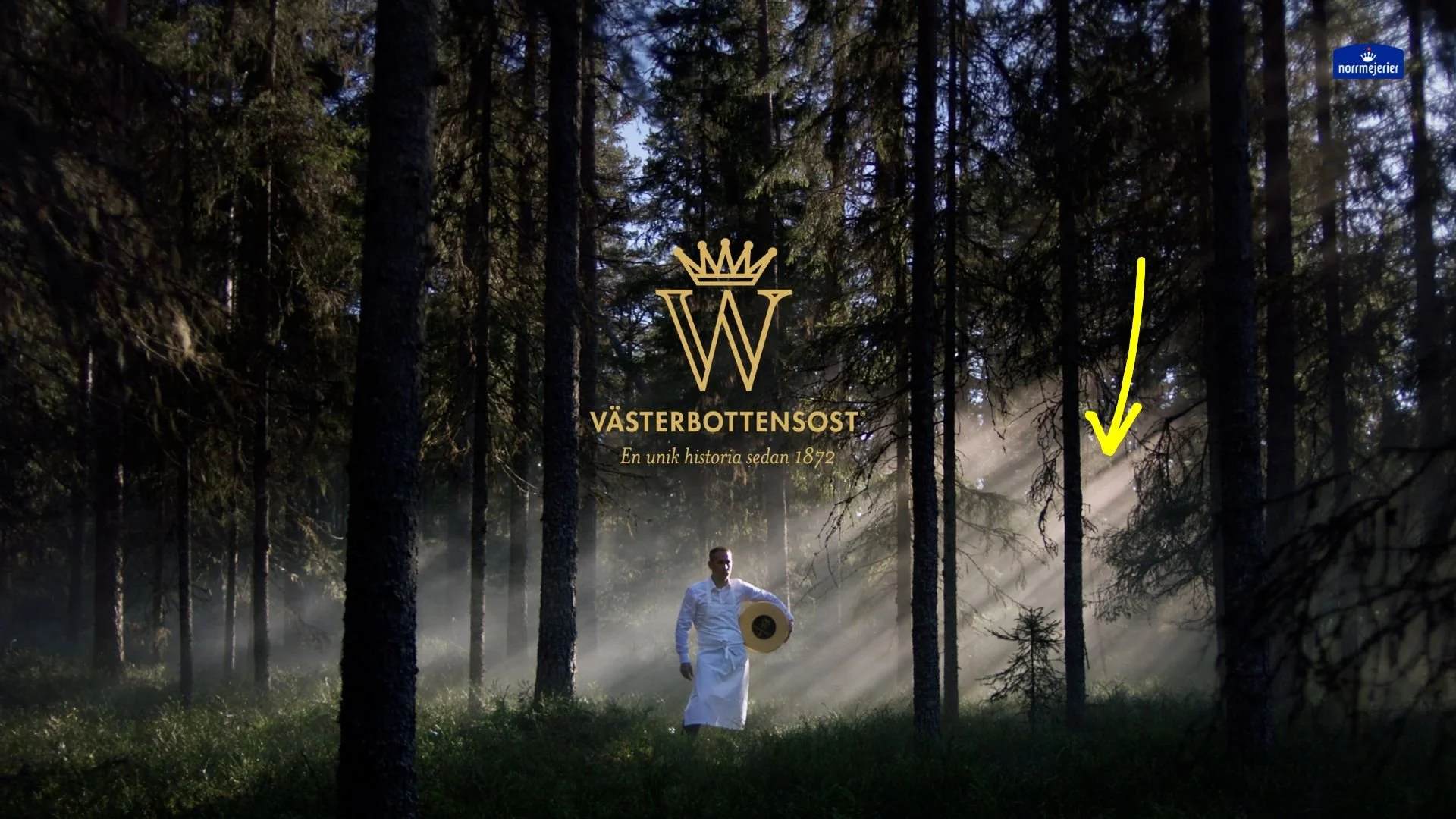 Behind the Västerbottensost campaign: The recipe for a magical forest sunset
