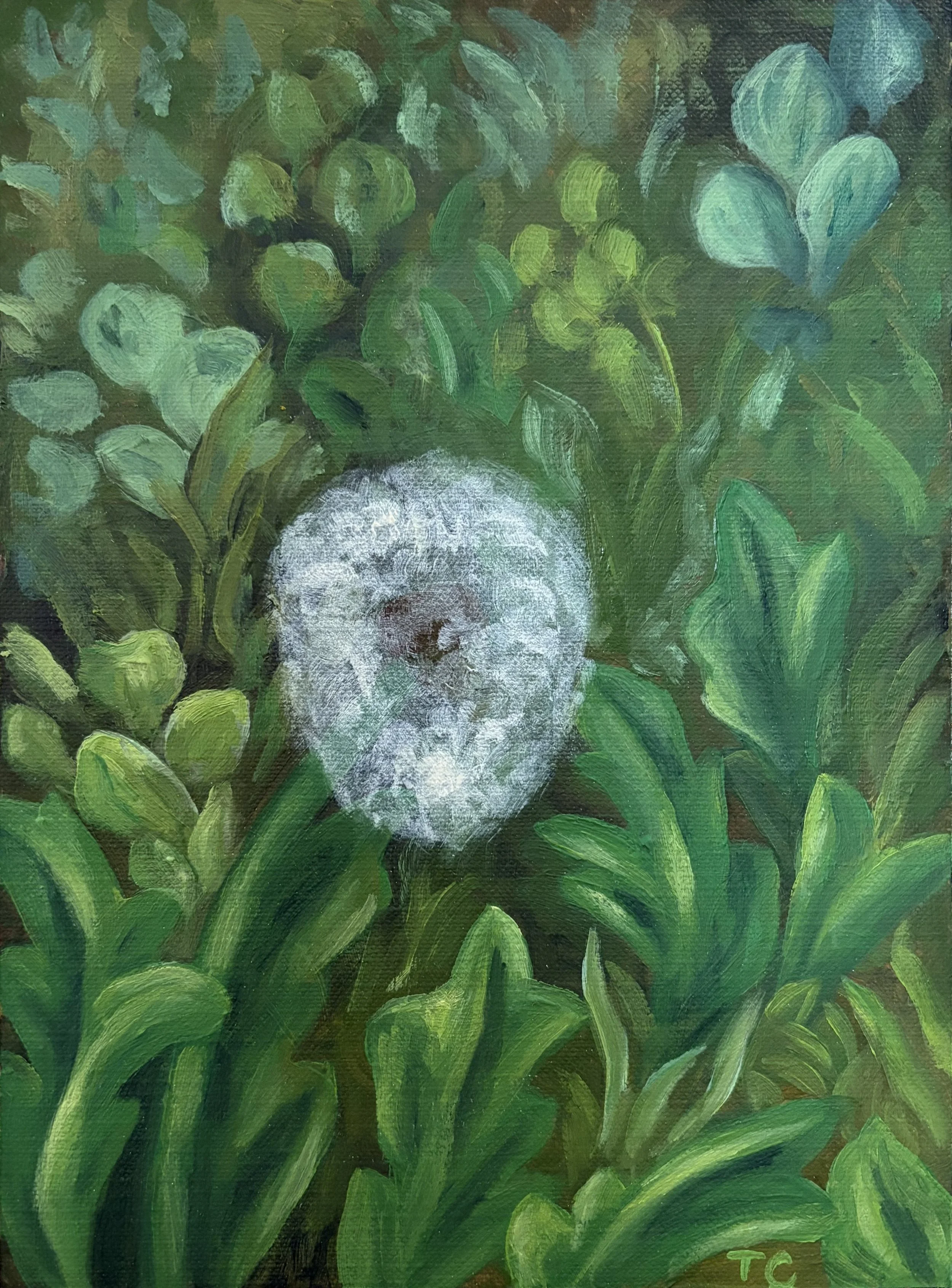 While we Dream, 8"x6", oil on canvas paper, 2025.