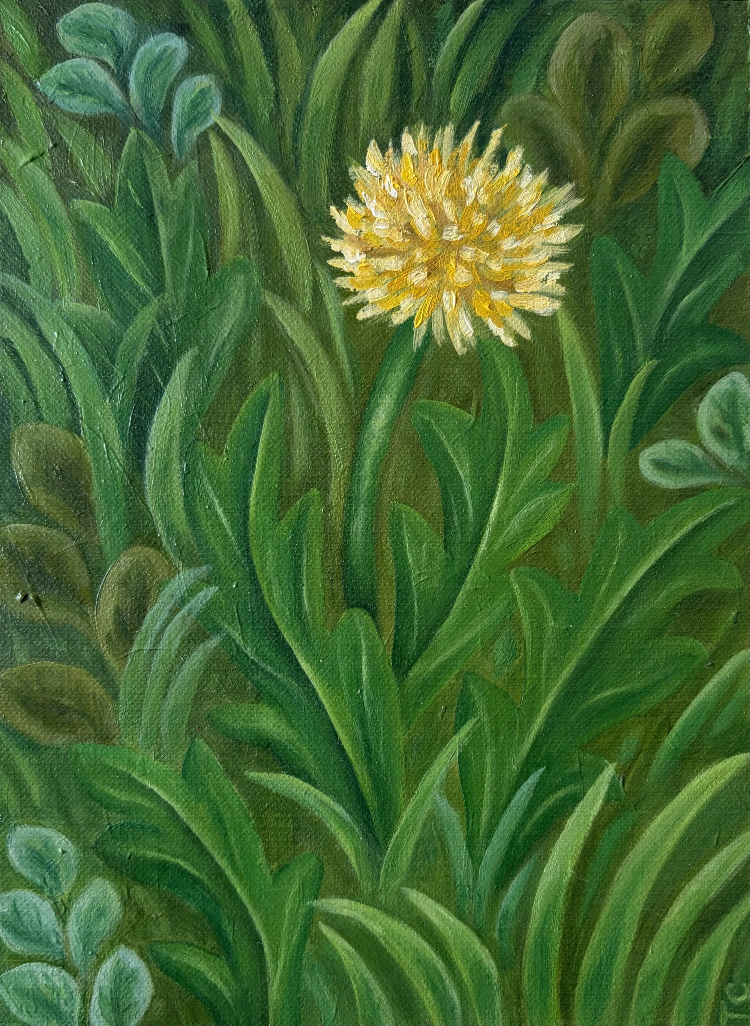 Dandelion, 8"x6", oil on canvas paper, 2025.