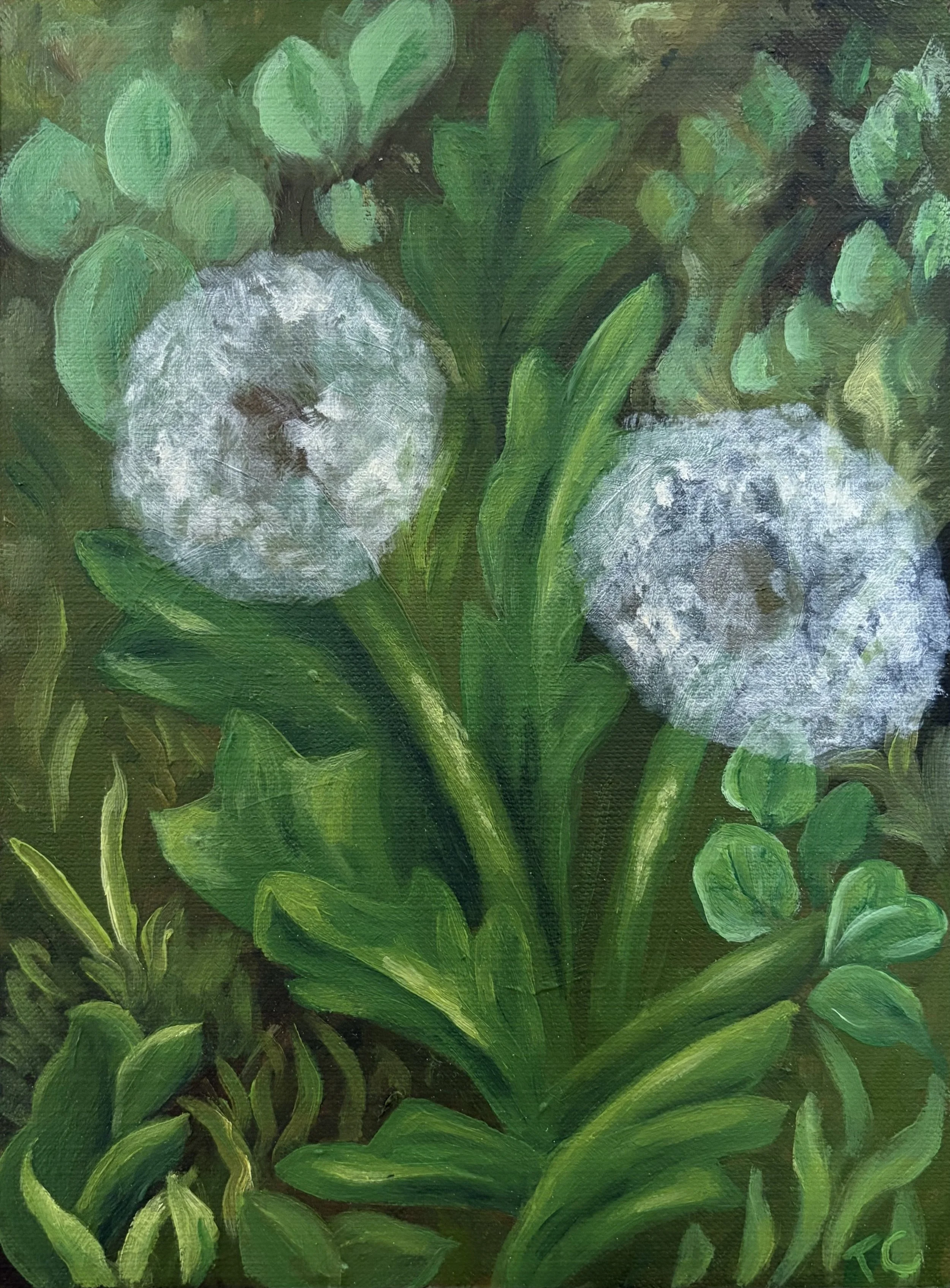Two Wishes, 8"x6", oil on canvas paper, 2025.