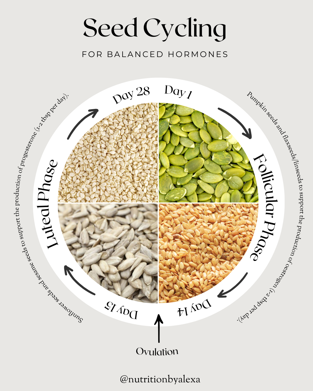 Seed Cycling