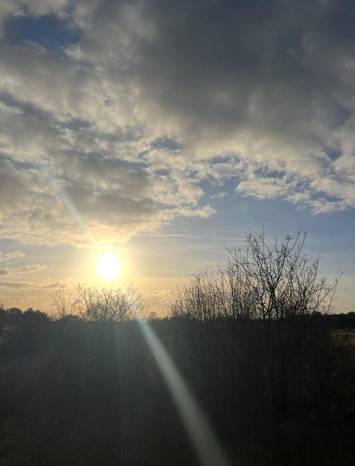 Five Perimenopause Non-Negotiables.