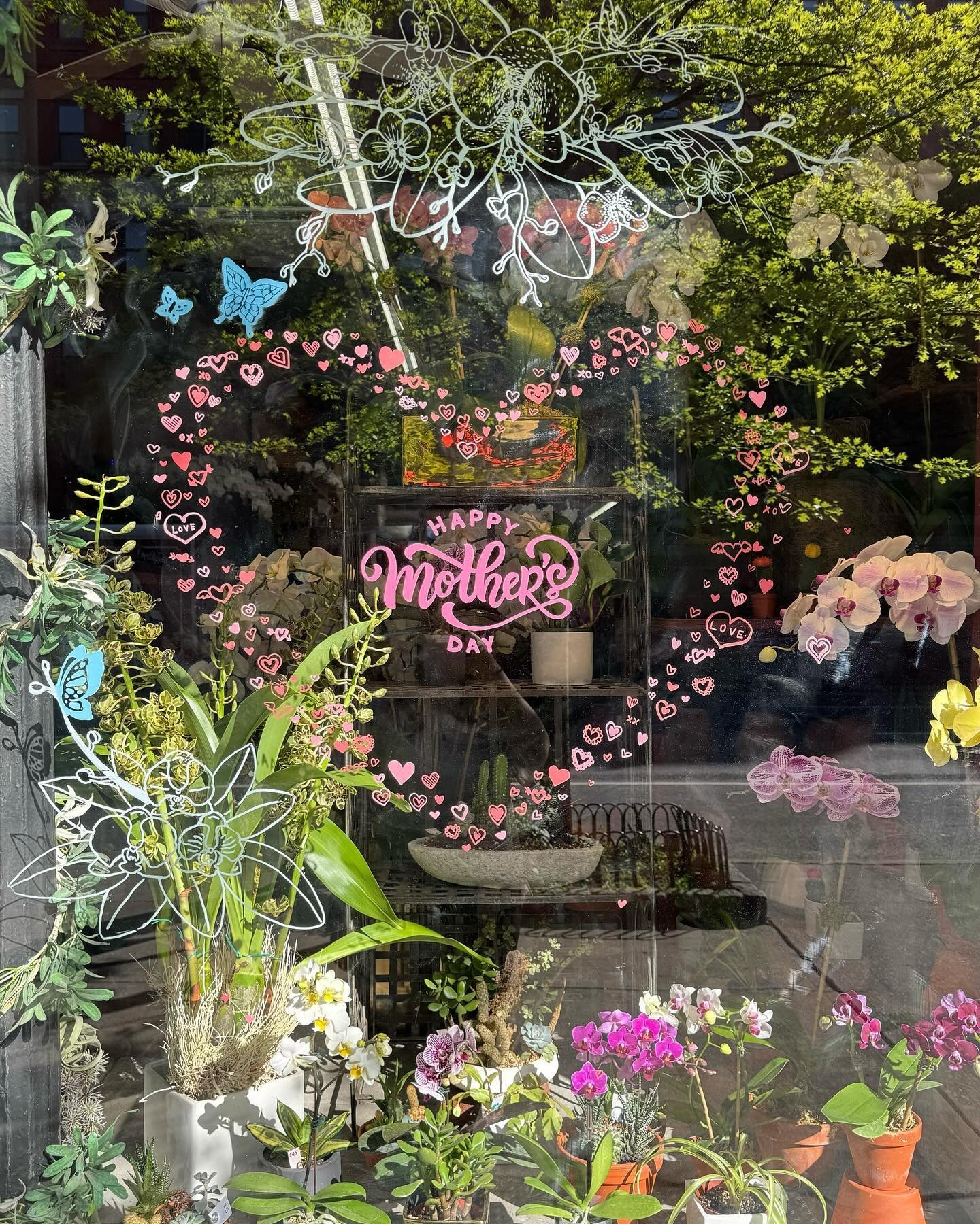 Mother&rsquo;s Day is fast approaching! Visit Orchid Man to view our new display and secure an arrangement for your loved ones 🌸