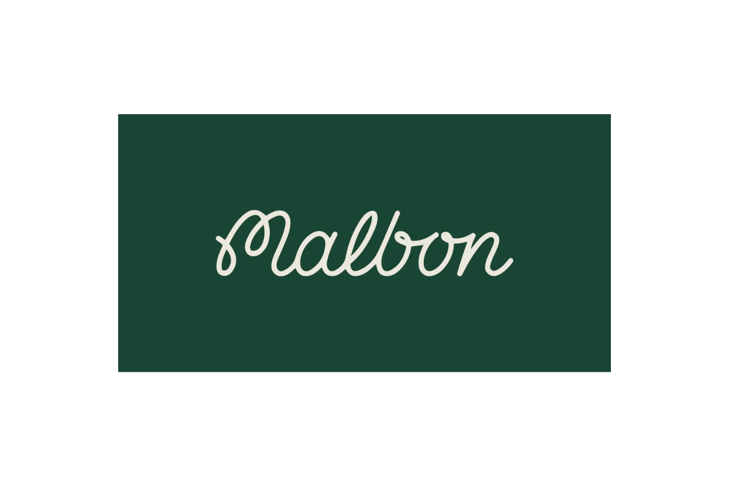 Green rectangular sign with the word 'salon' written in white cursive font.