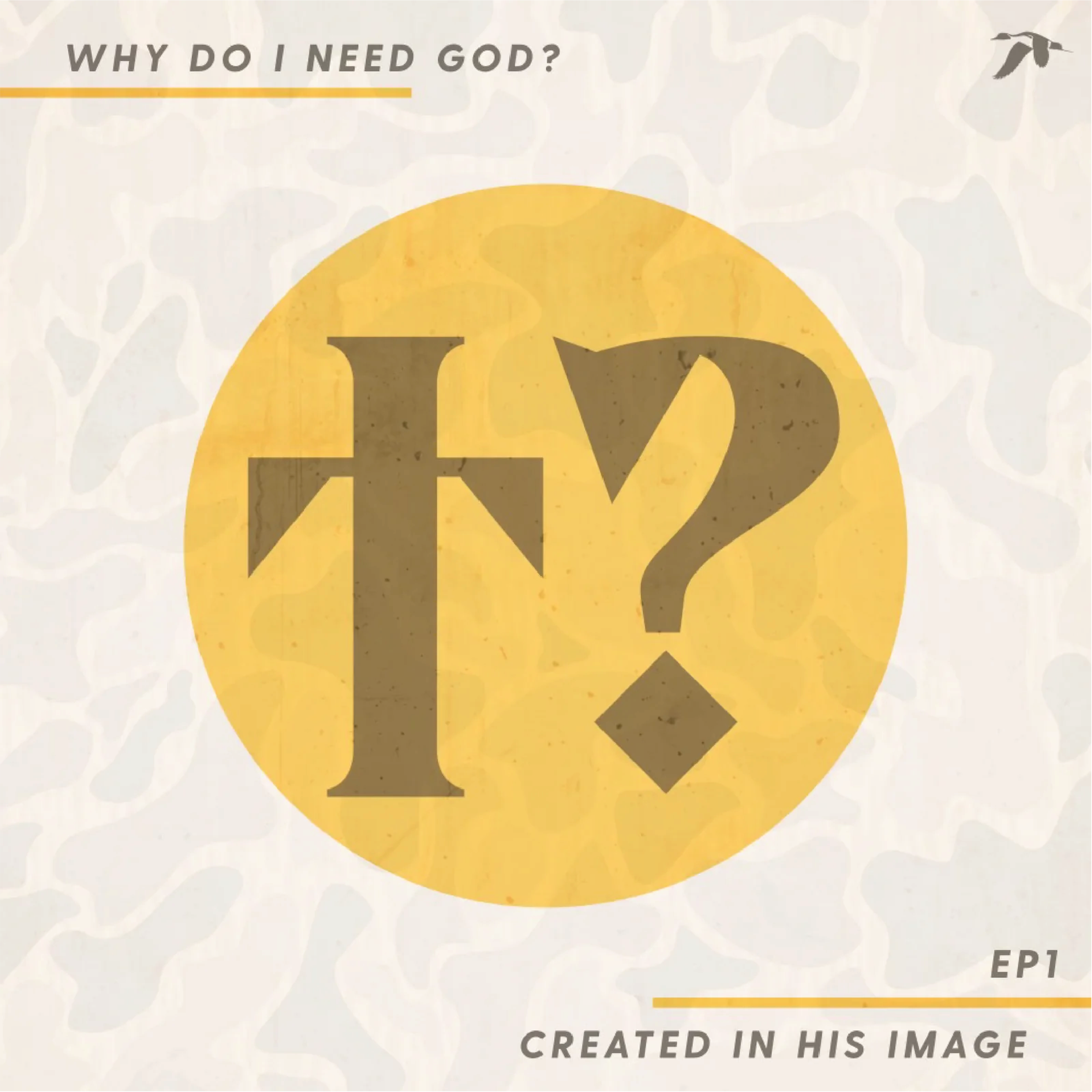 Why Do I Need God?: Created in His Image