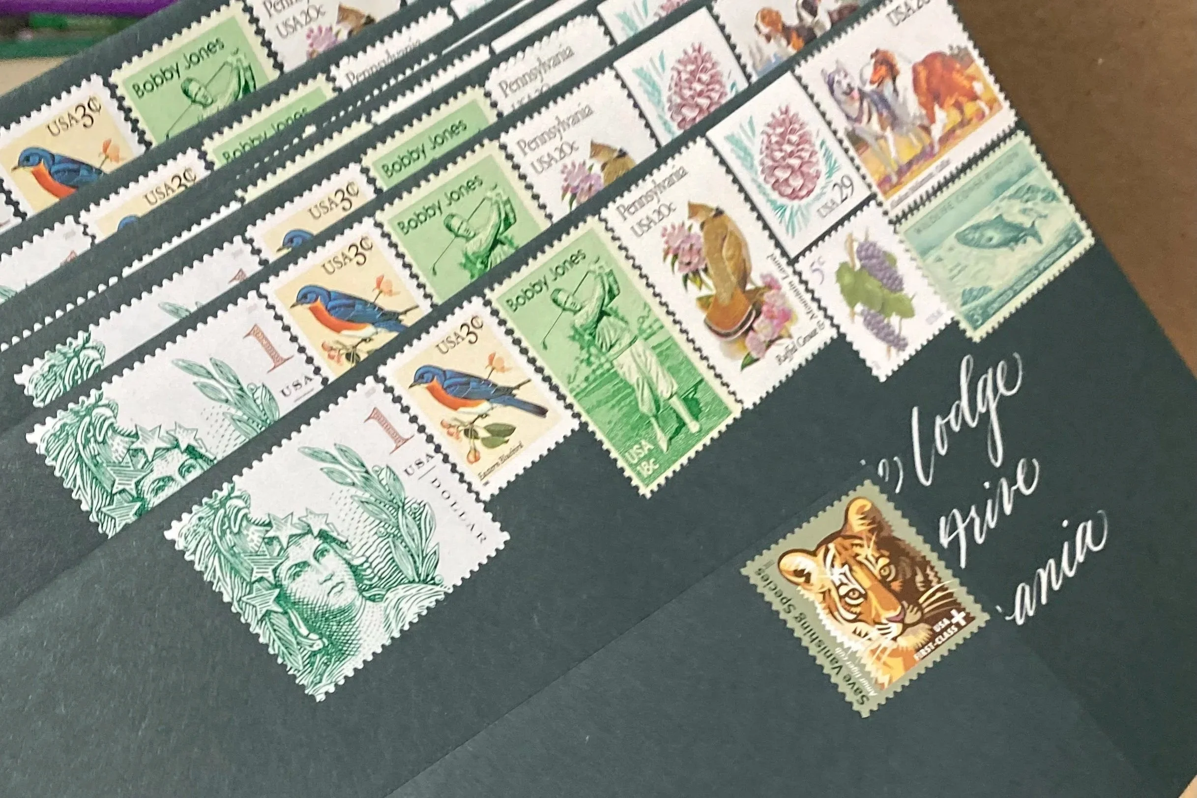 Dark green envelopes with vintage postage and calligraphy in white