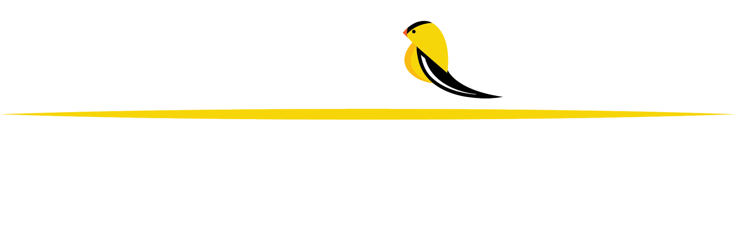 Little Yellow Bird Support Services