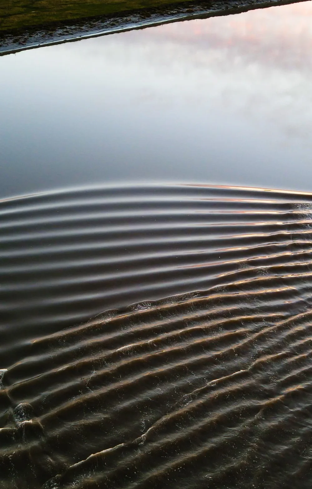 Capture d’écran 2023-07-23 à 18.05.41.jpg