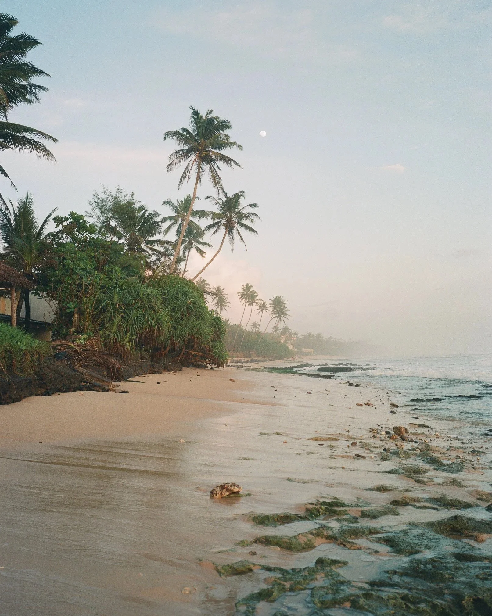HS-1800 | 120 (colour negative film) | JPG High