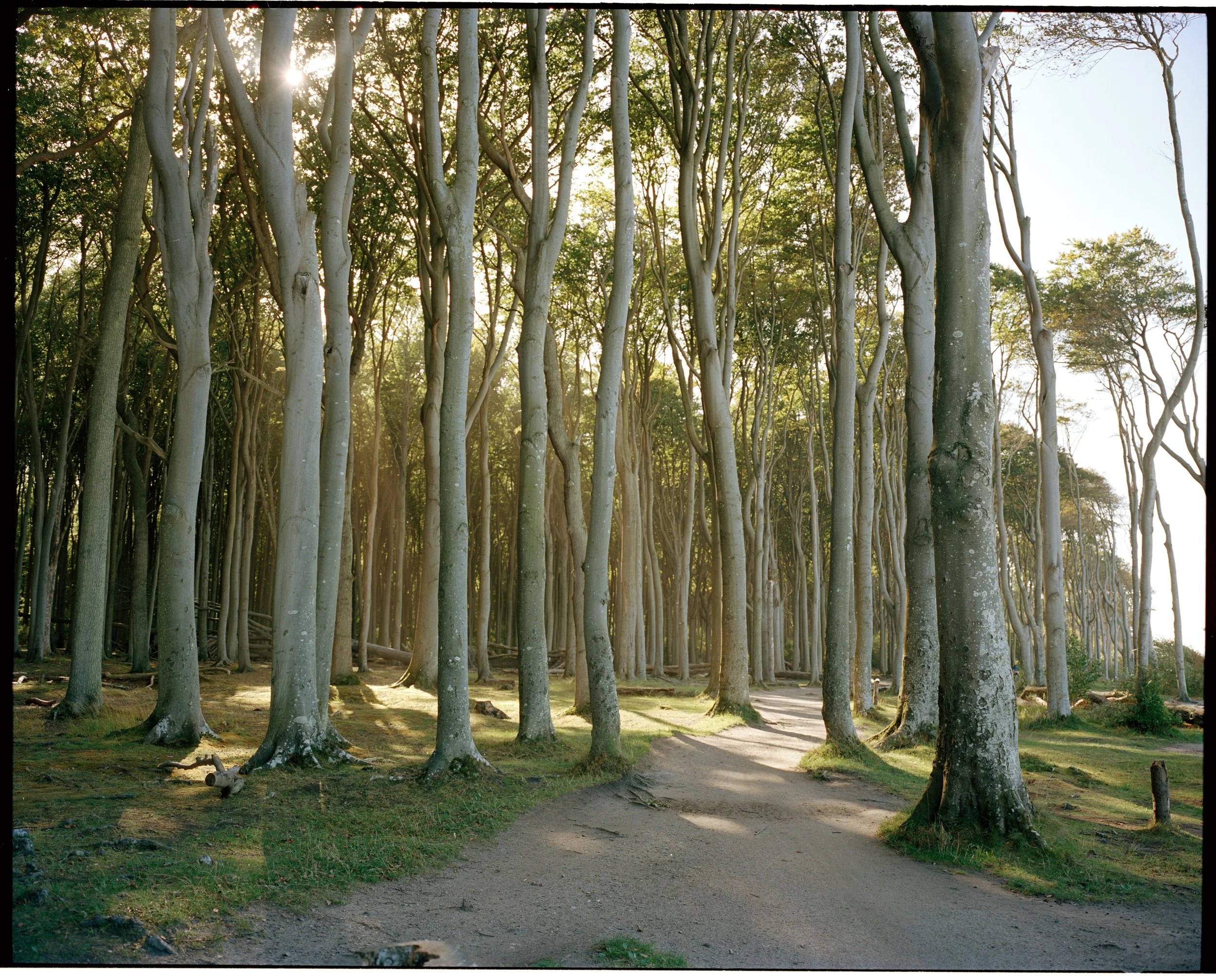202510 Mamiya 7II R3 Portra 400 Oct'25 10 Kopie.jpg