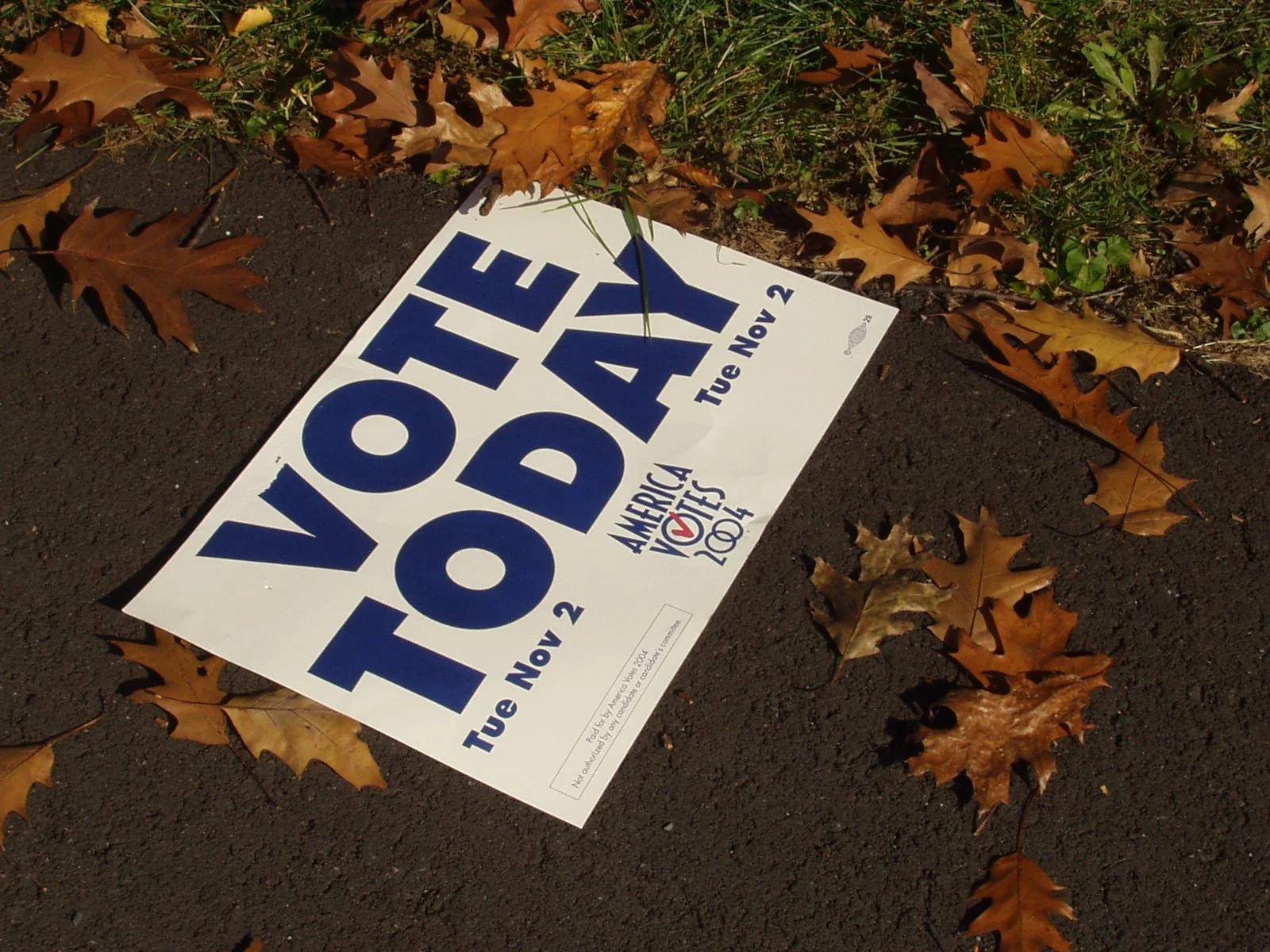 Democracy’s Next Step: Lowering the Voting Age to 16? 