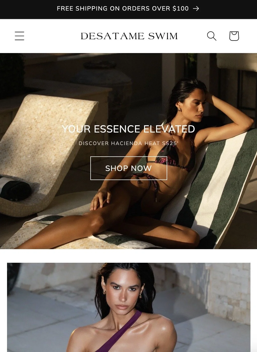 Online swimsuit store homepage featuring models in swimwear, with a banner offering free shipping on orders over $100, and a 'Shop Now' button.
