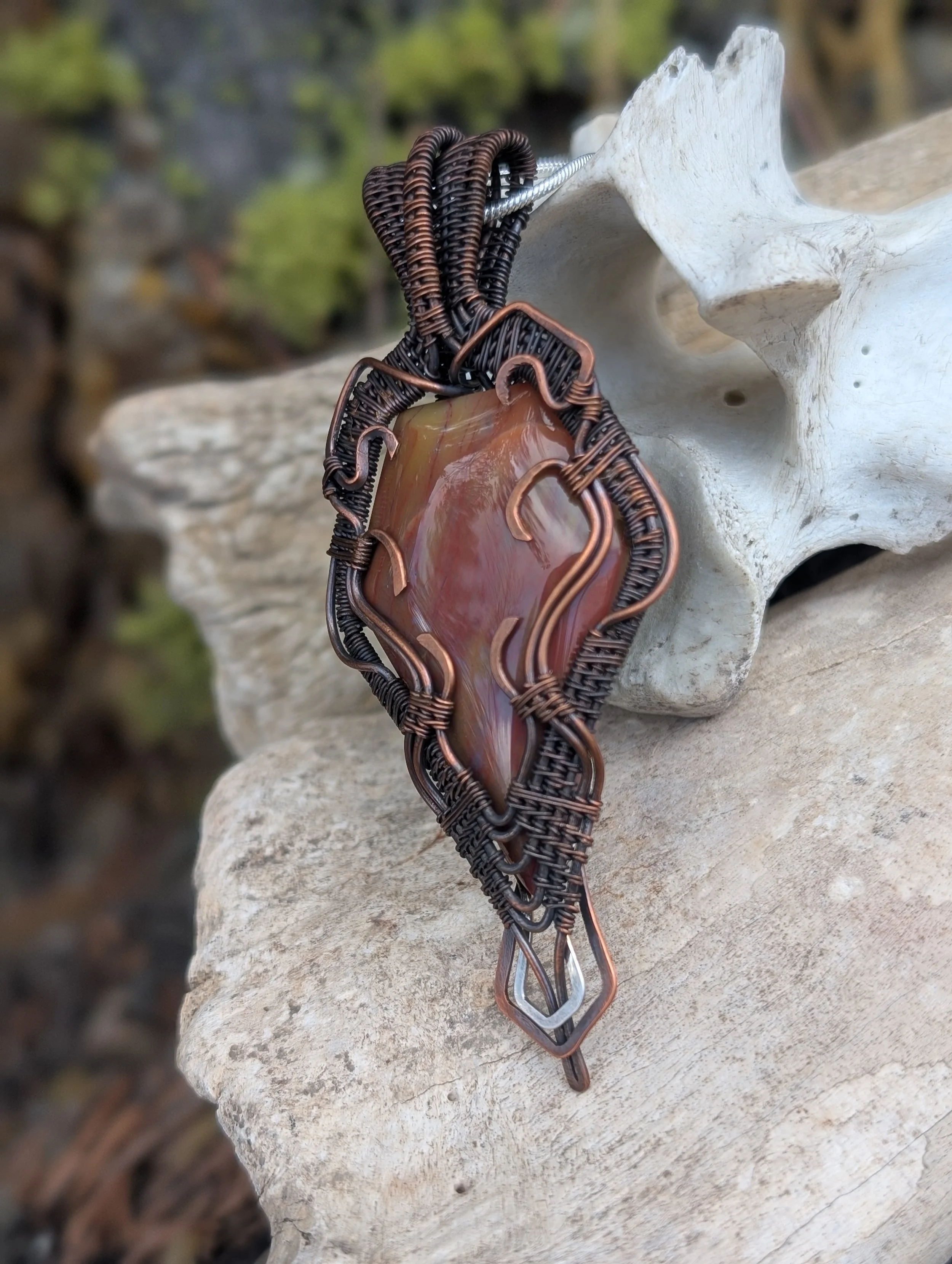 Arizona Pet Wood 5.jpg