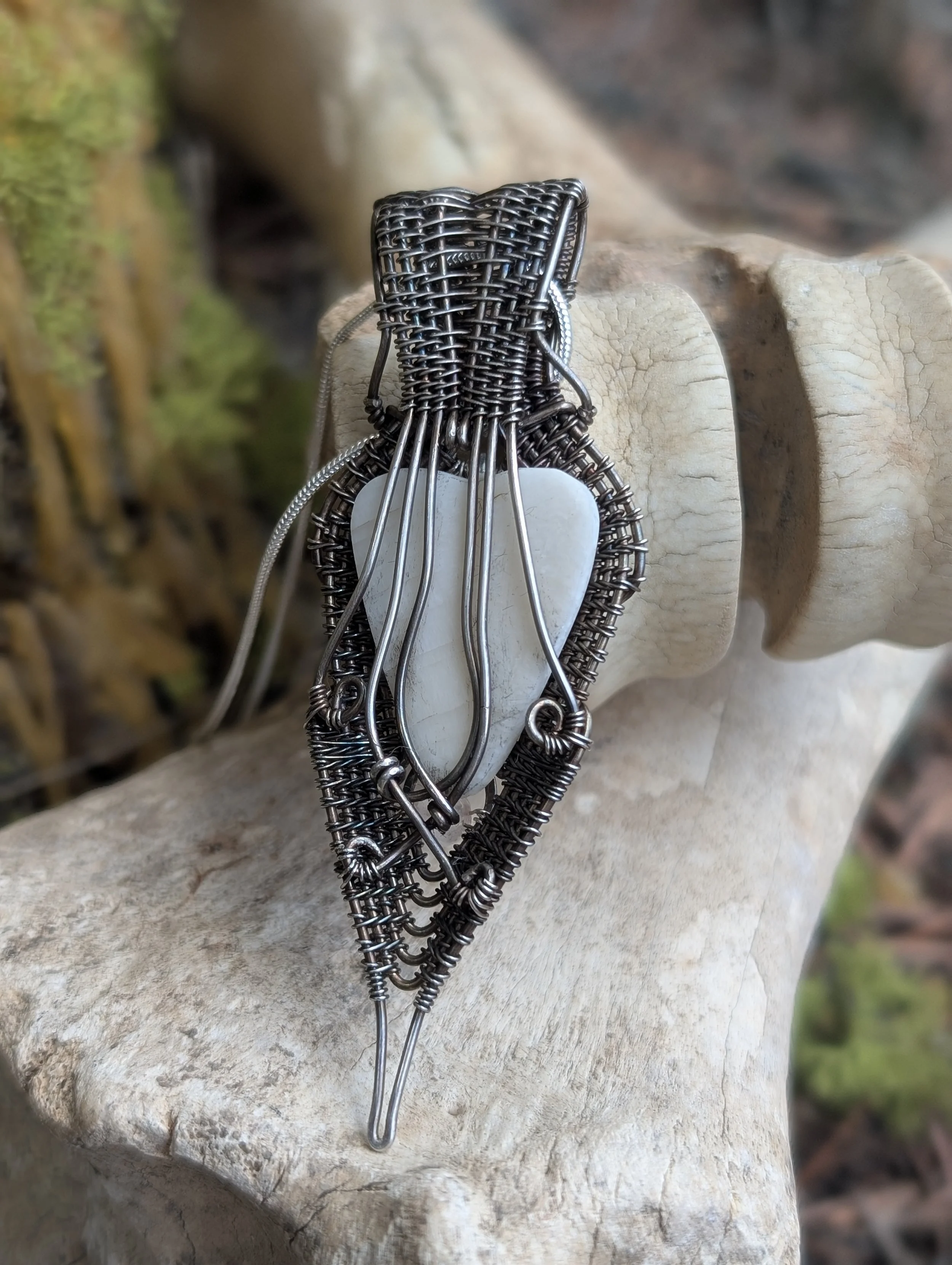 White Silver back.jpg