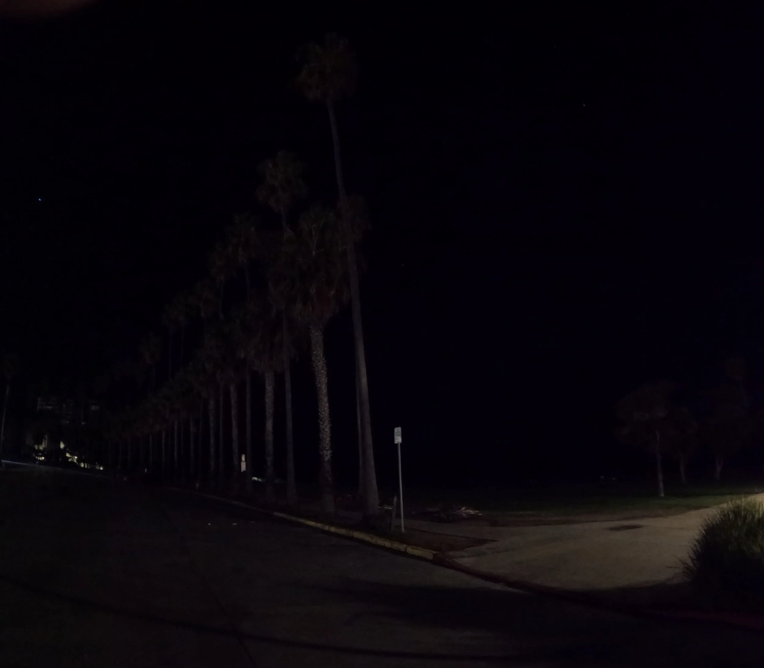 Scripps Ellen Park at night, smart solar lights on palm trees.