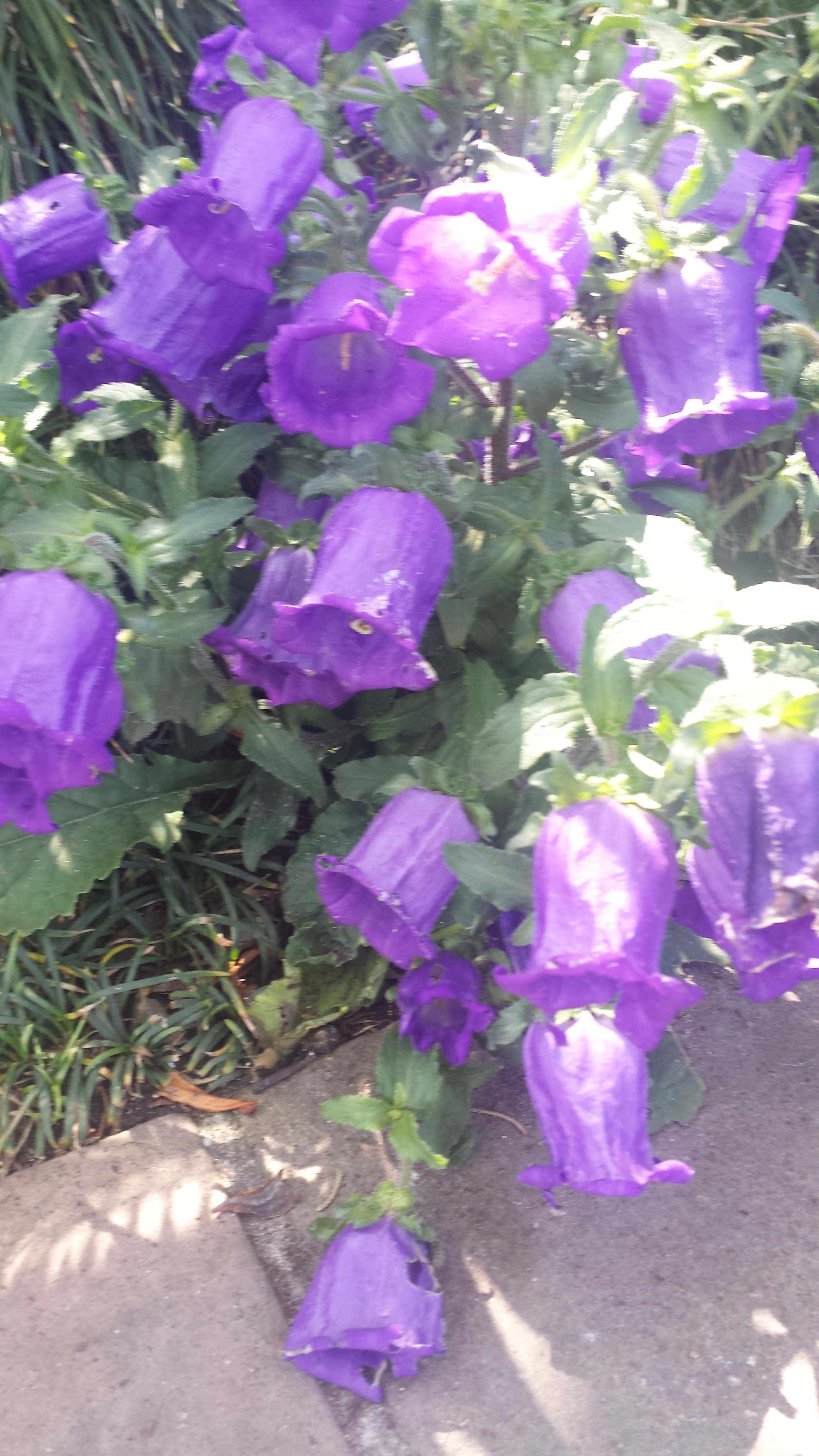 20160311_120300.jpg