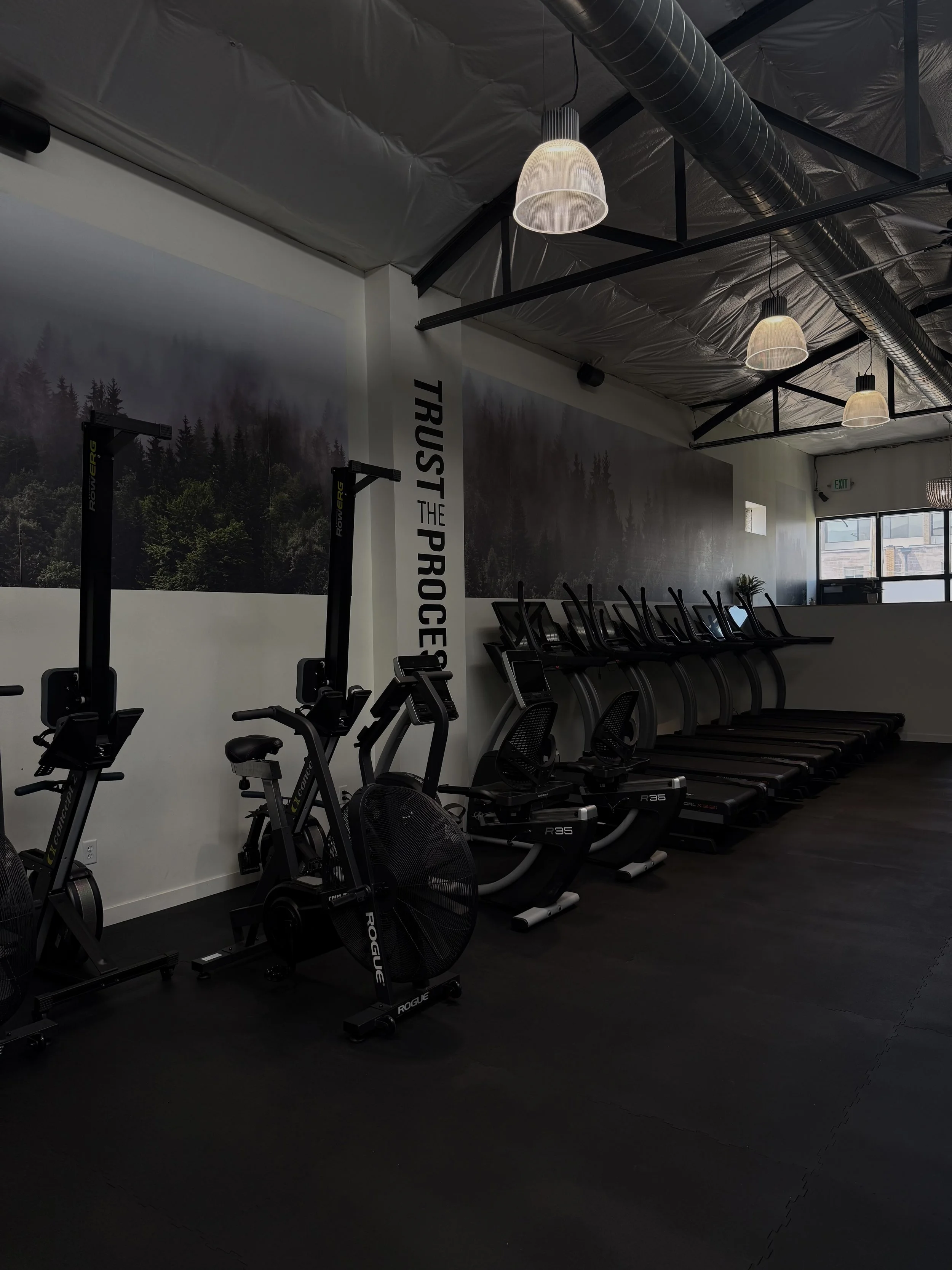 Row of exercise bikes and treadmills inside a gym with black flooring, wall art of a forest image, and ceiling lights.