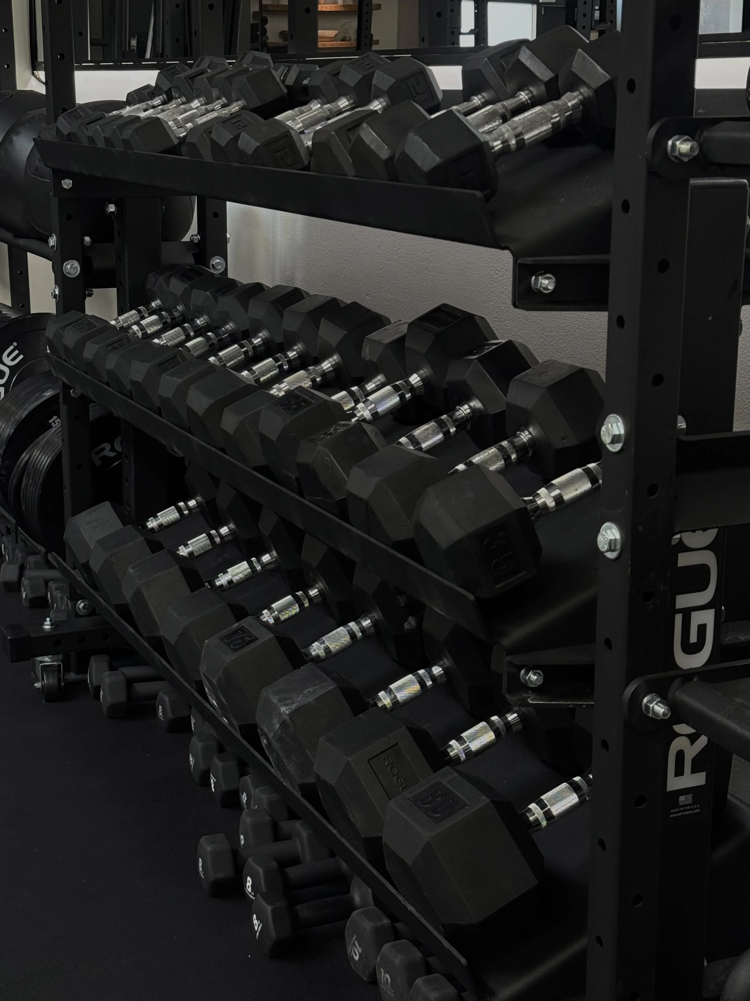 Rack of black dumbbells with silver handles in a gym setting.