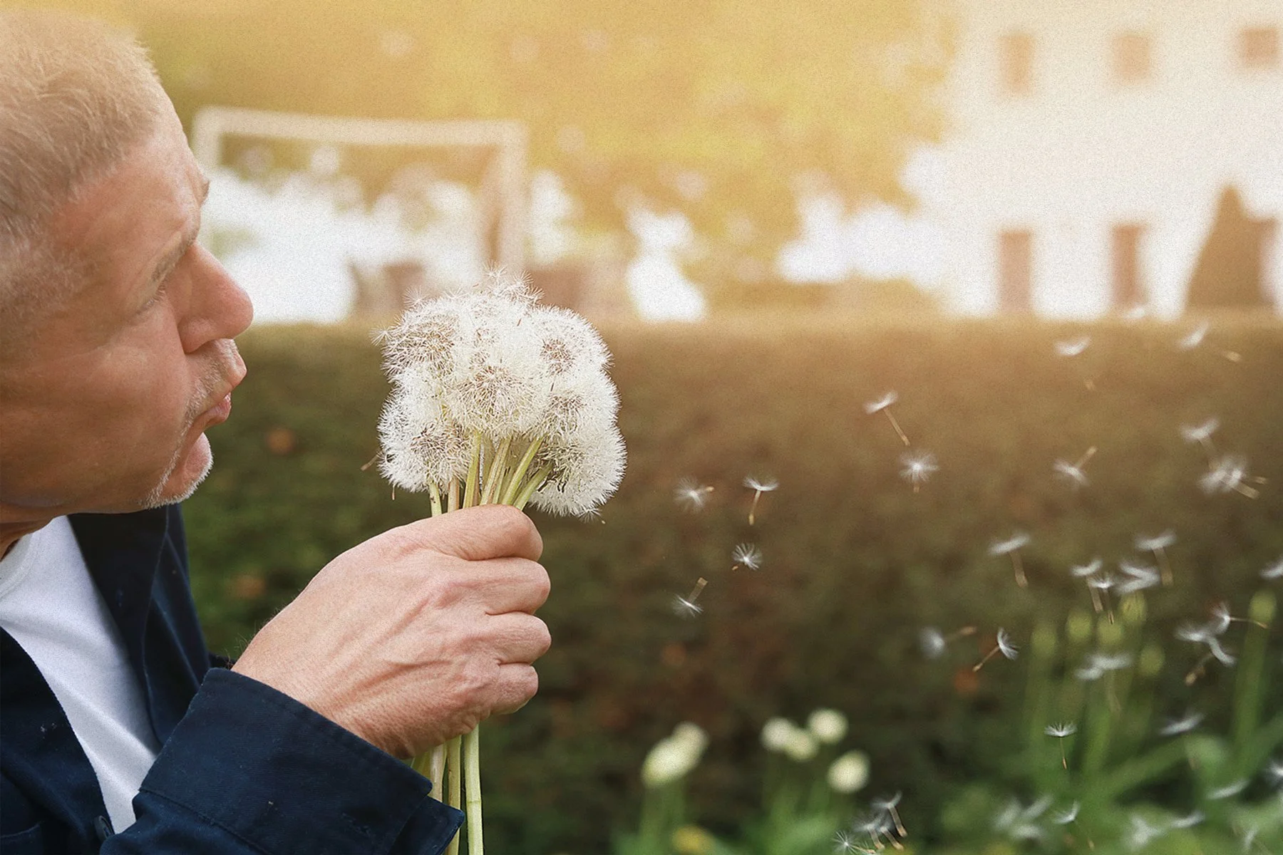 Hans Zauner Gärtnerseele Gärtner, Buchautor und Landschaftsarchitekt