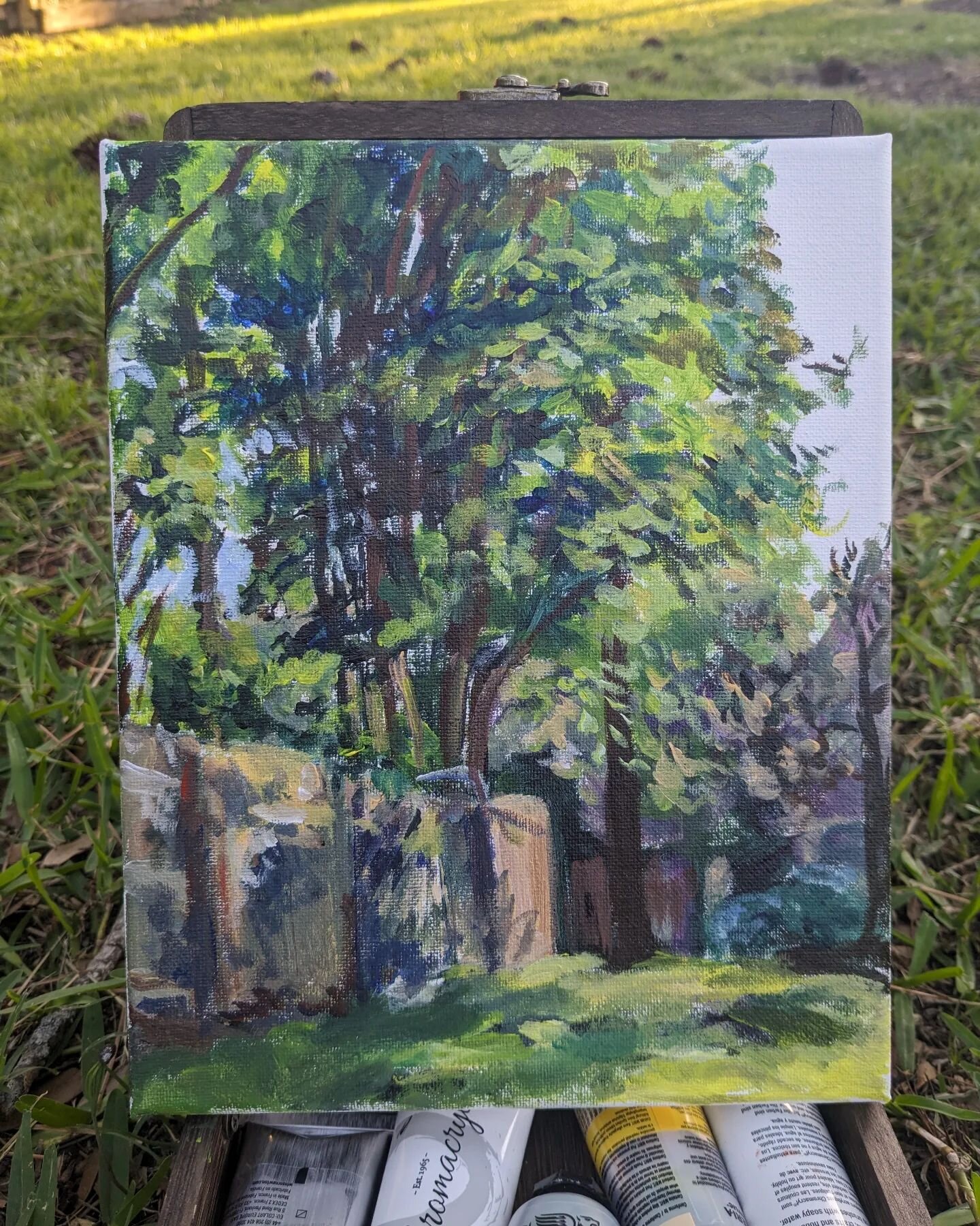 2nd plein air study of 2024~~ gotta get in my plein air time before Texas Summer(TM) descends upon us.