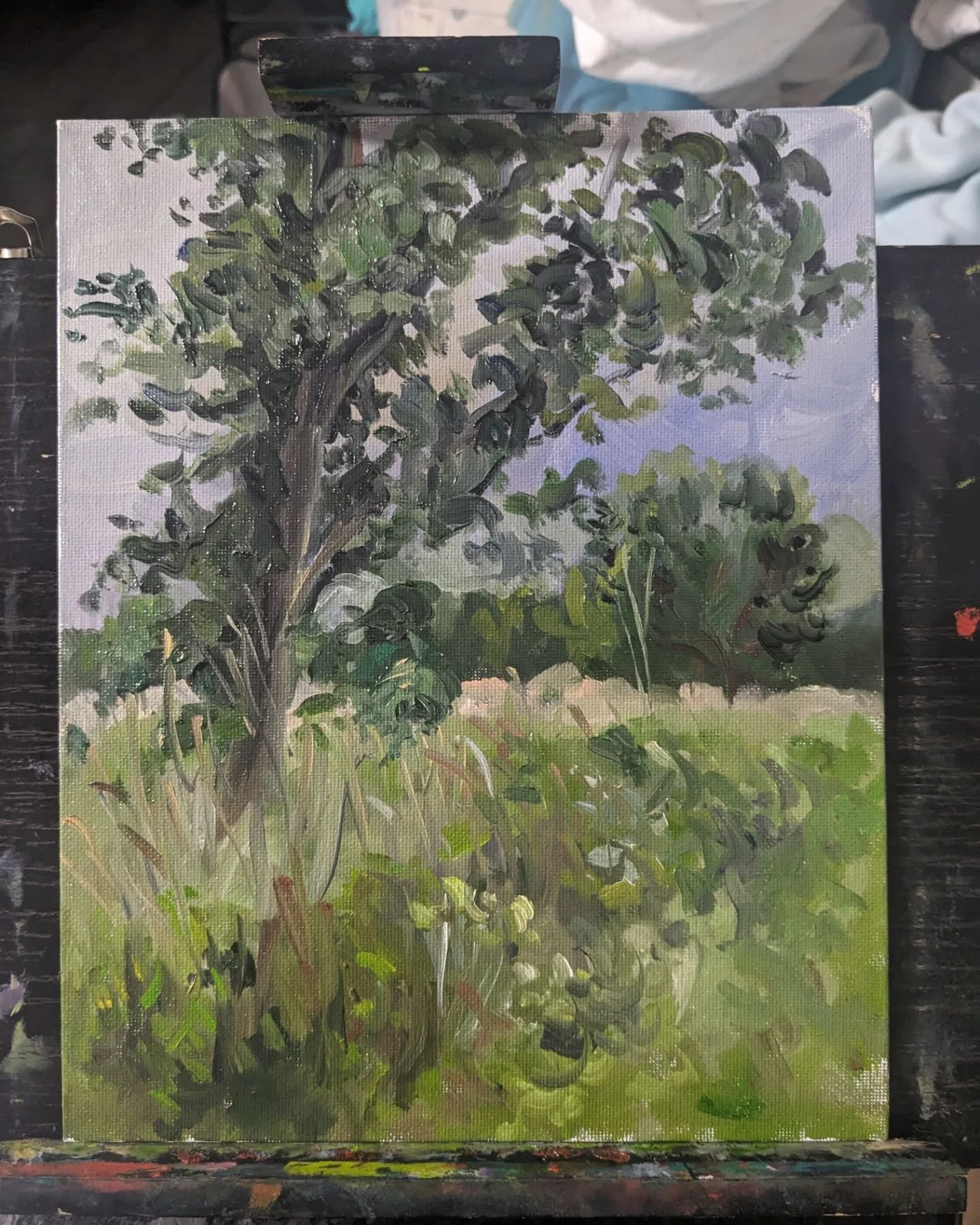 Plein air study from last Friday... I actually did it as the oncoming rain was bearing down on me and starting to sprinkle. Maybe it helped that I was working in oils, instead of acrylics or watercolor?? 

ANYWAY. Swipe to see the studio version I'm 