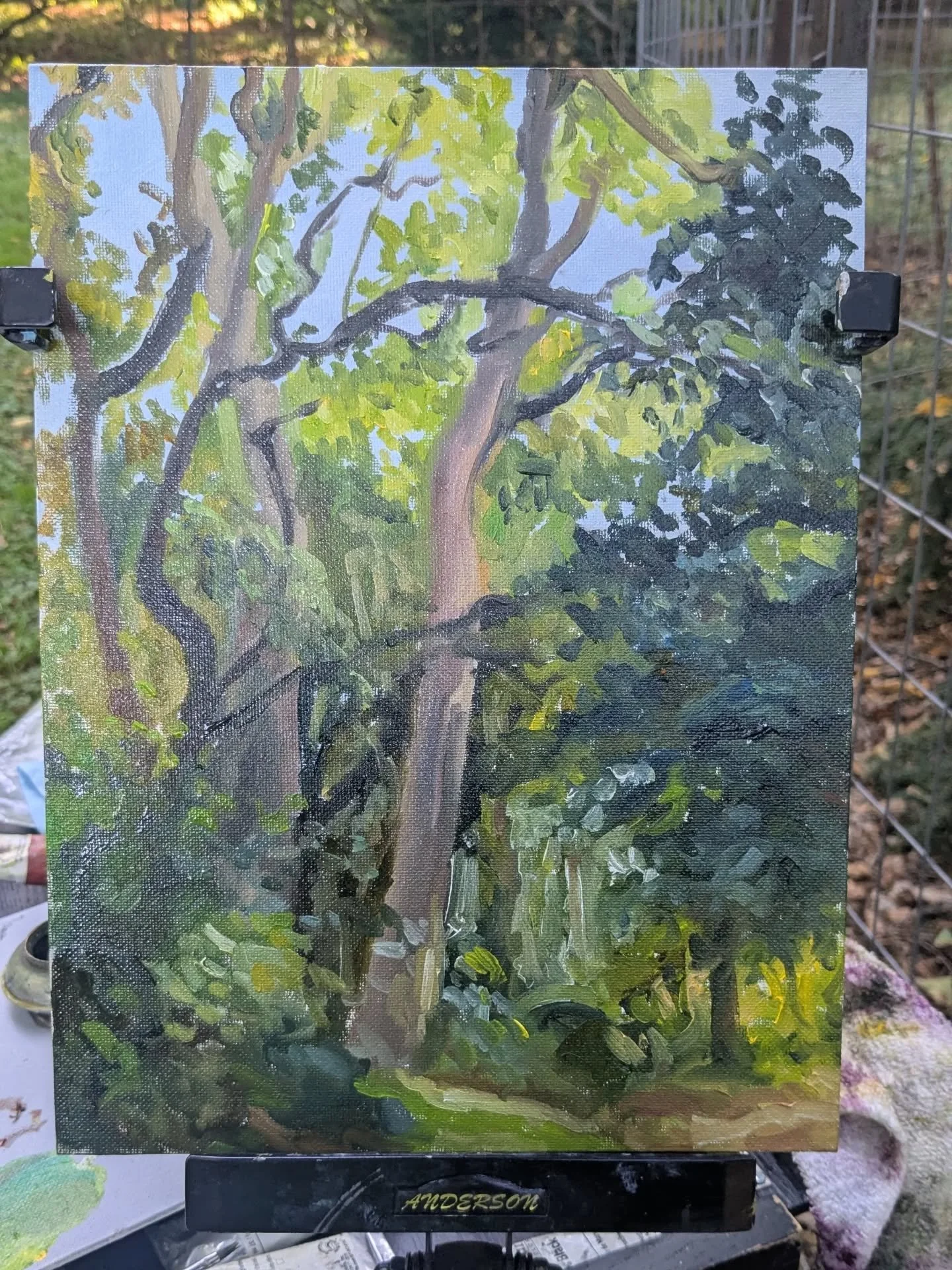 I wasn't sure if I should include portrait-oriented studies in my Postcards series, but this stand of trees at @uwarboretum made the decision for me!! 

(I think they're locusts?? I forgot to look for a label 😭)