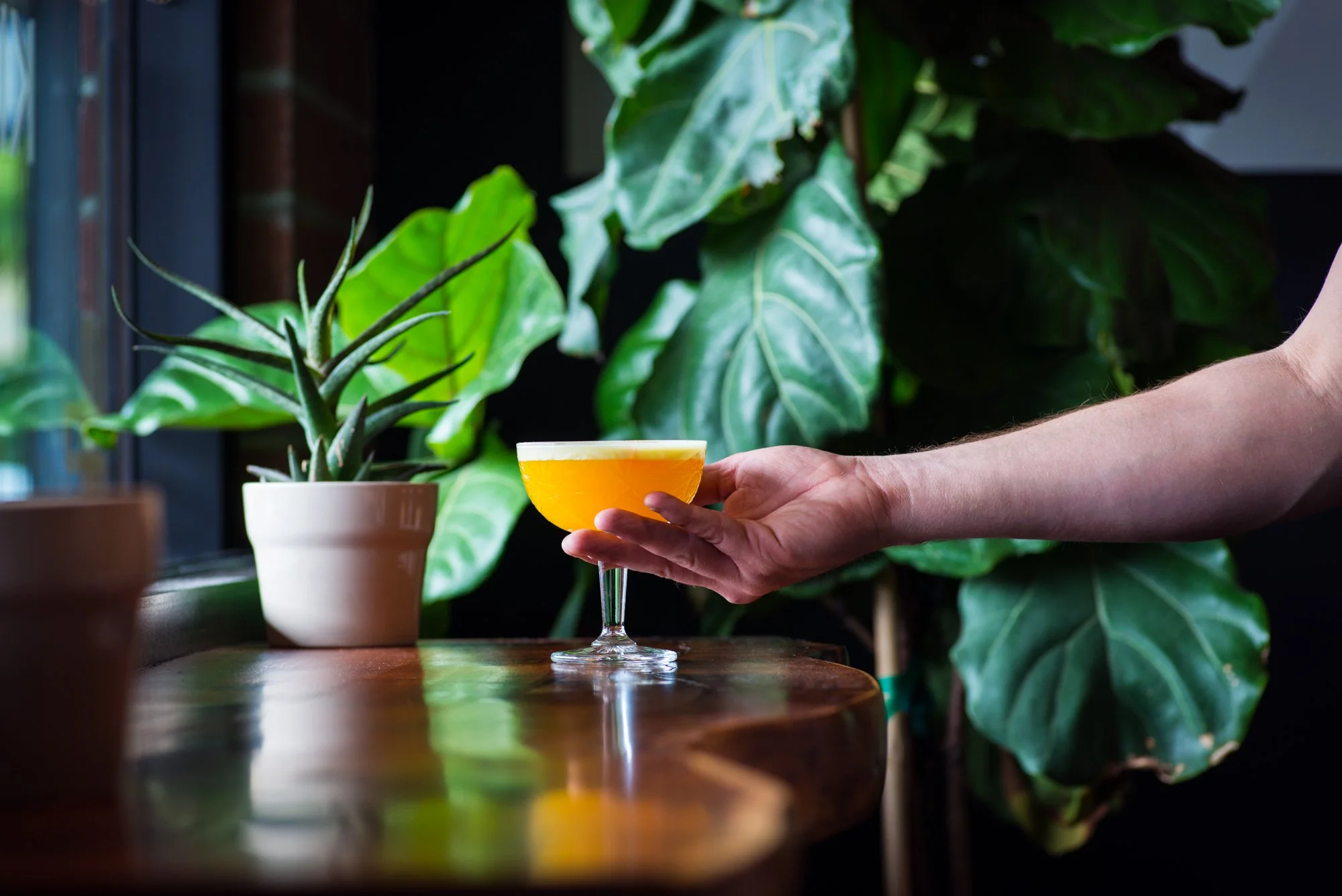 Visit Us — Clever Koi