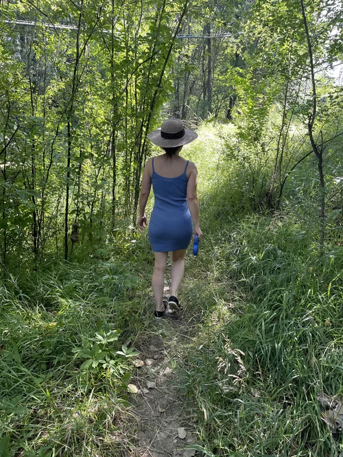 Gallery 1 — Fern Forester