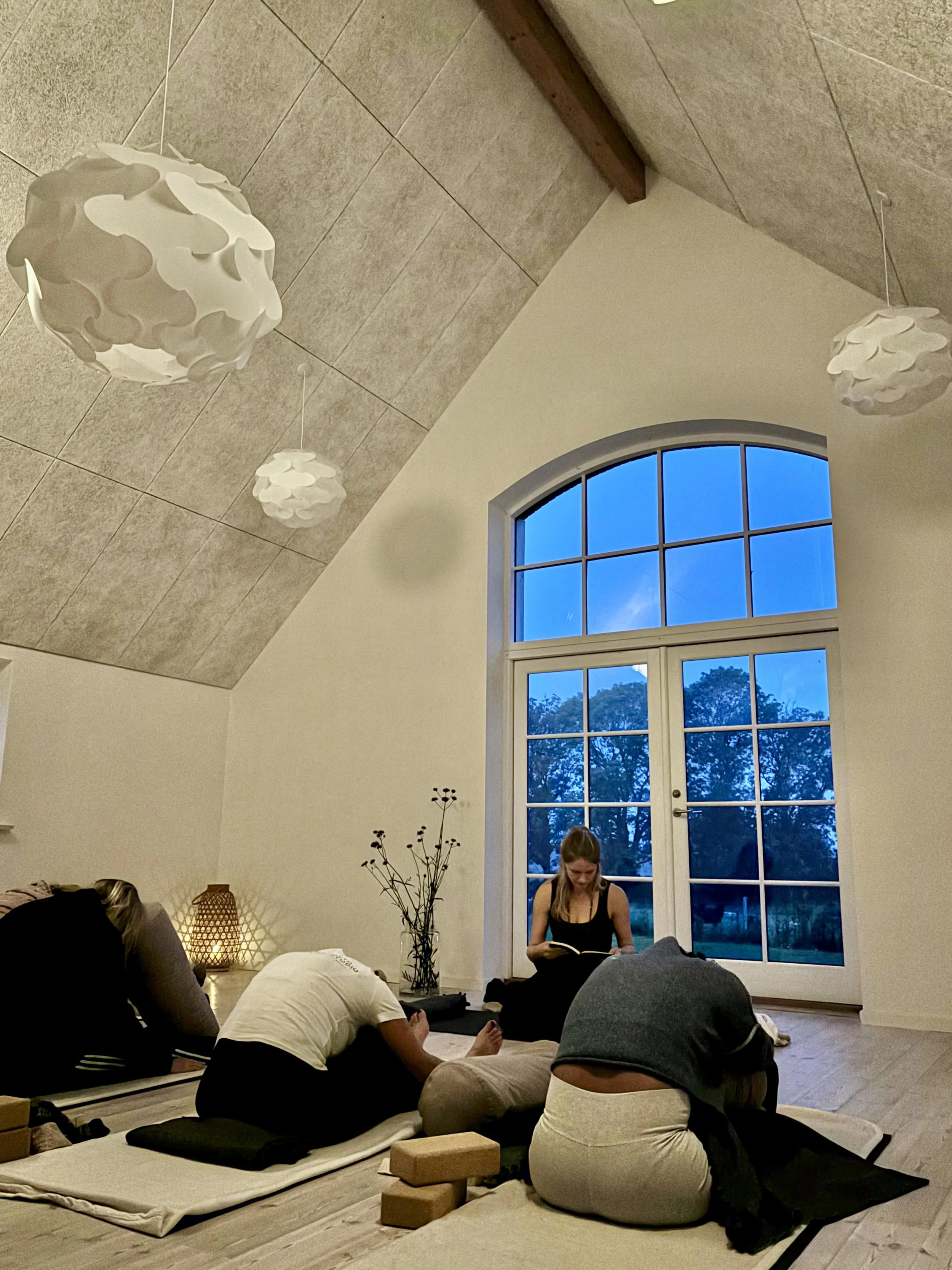 Evening Yin Yoga.jpg