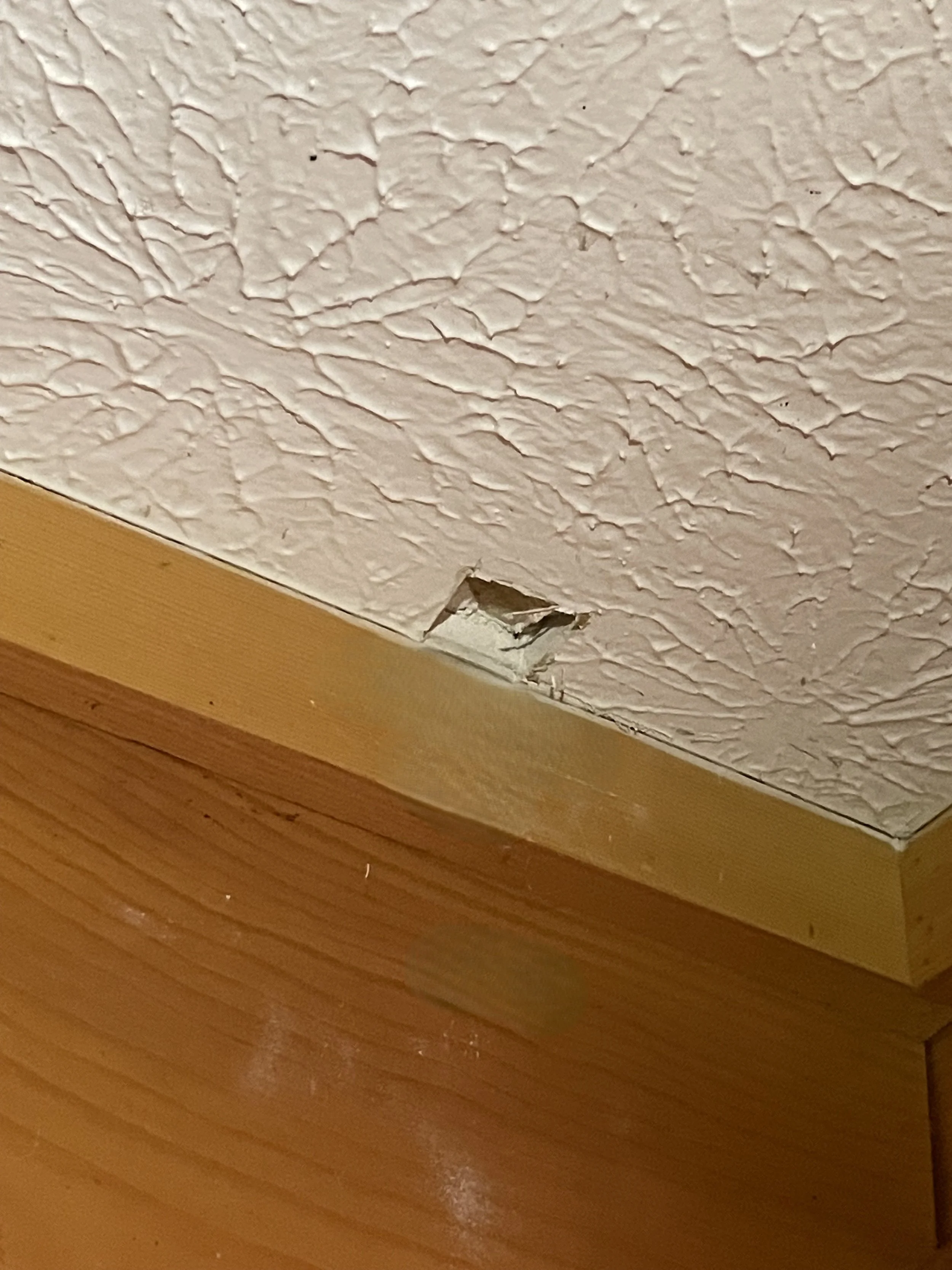 Stamp Ceiling Texture & Joint Compound