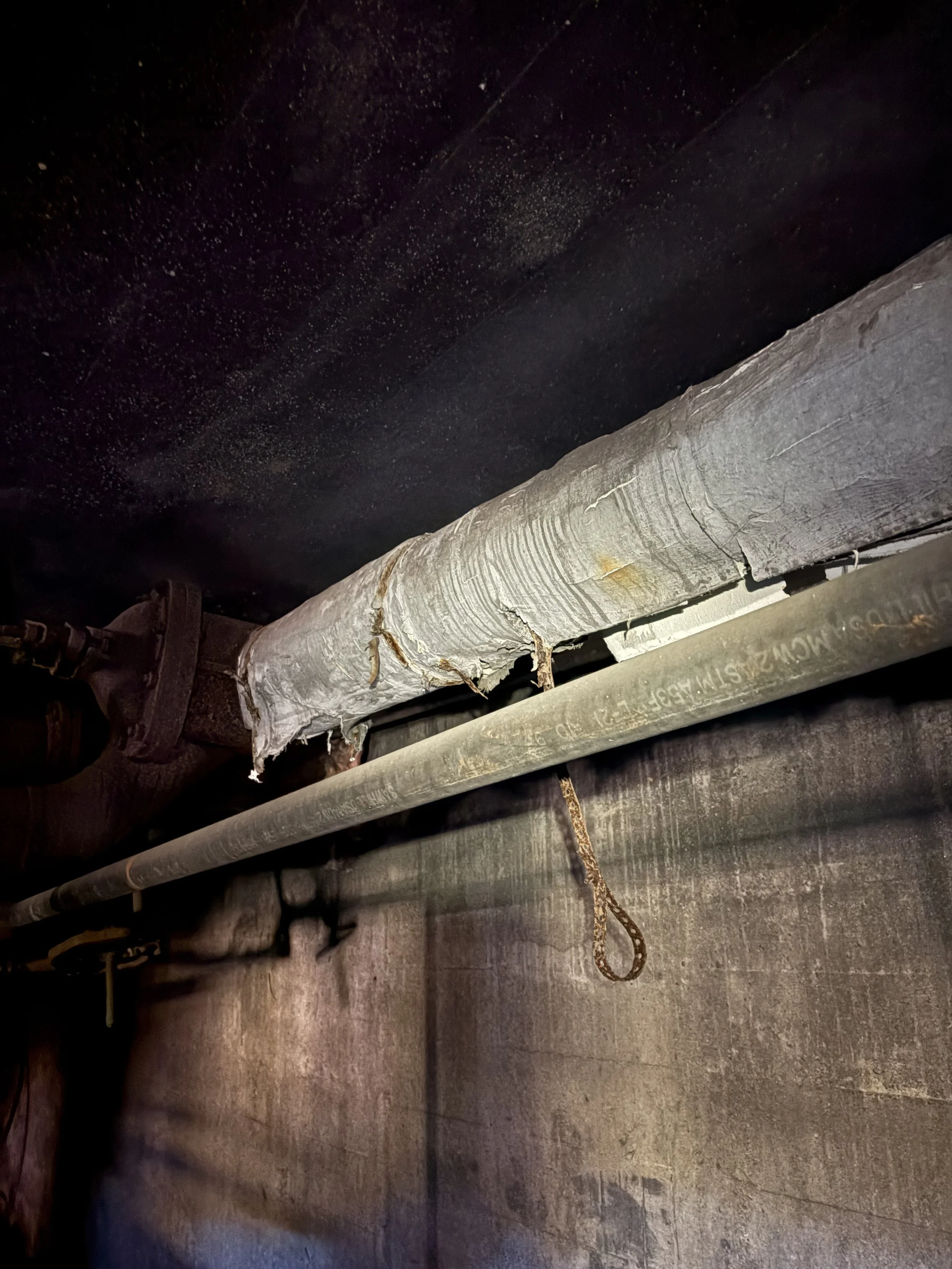 Piping Insulation (TSI)