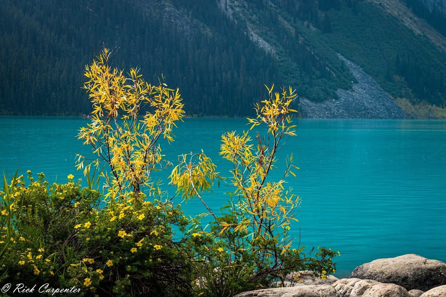 Lake Louise