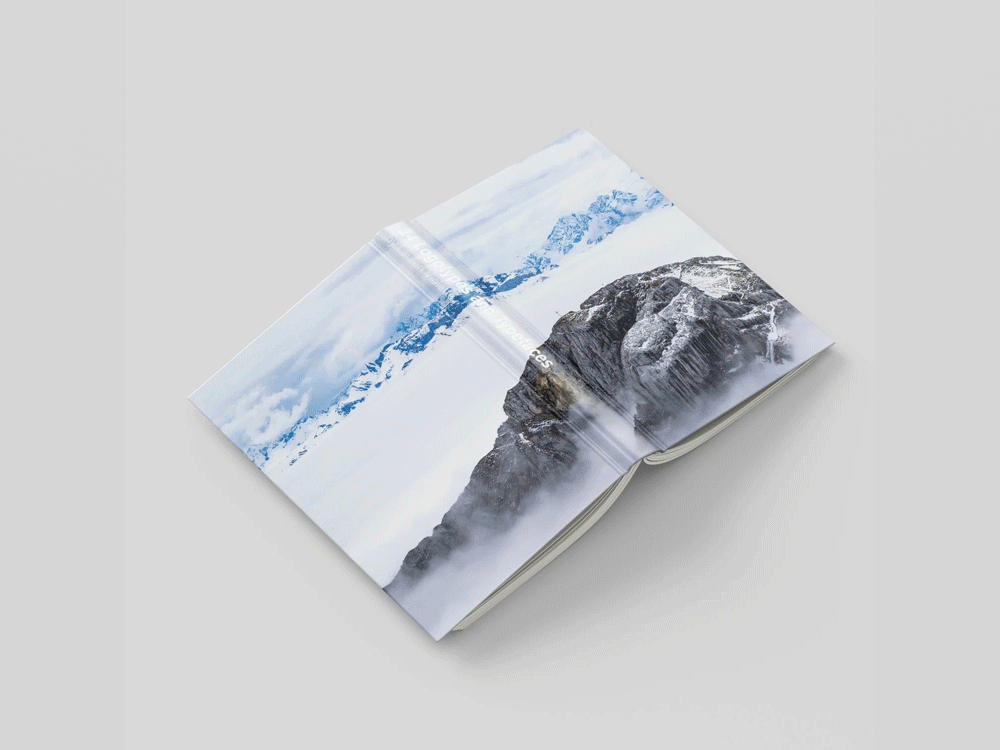 Logotype and Typefaces Book / Design