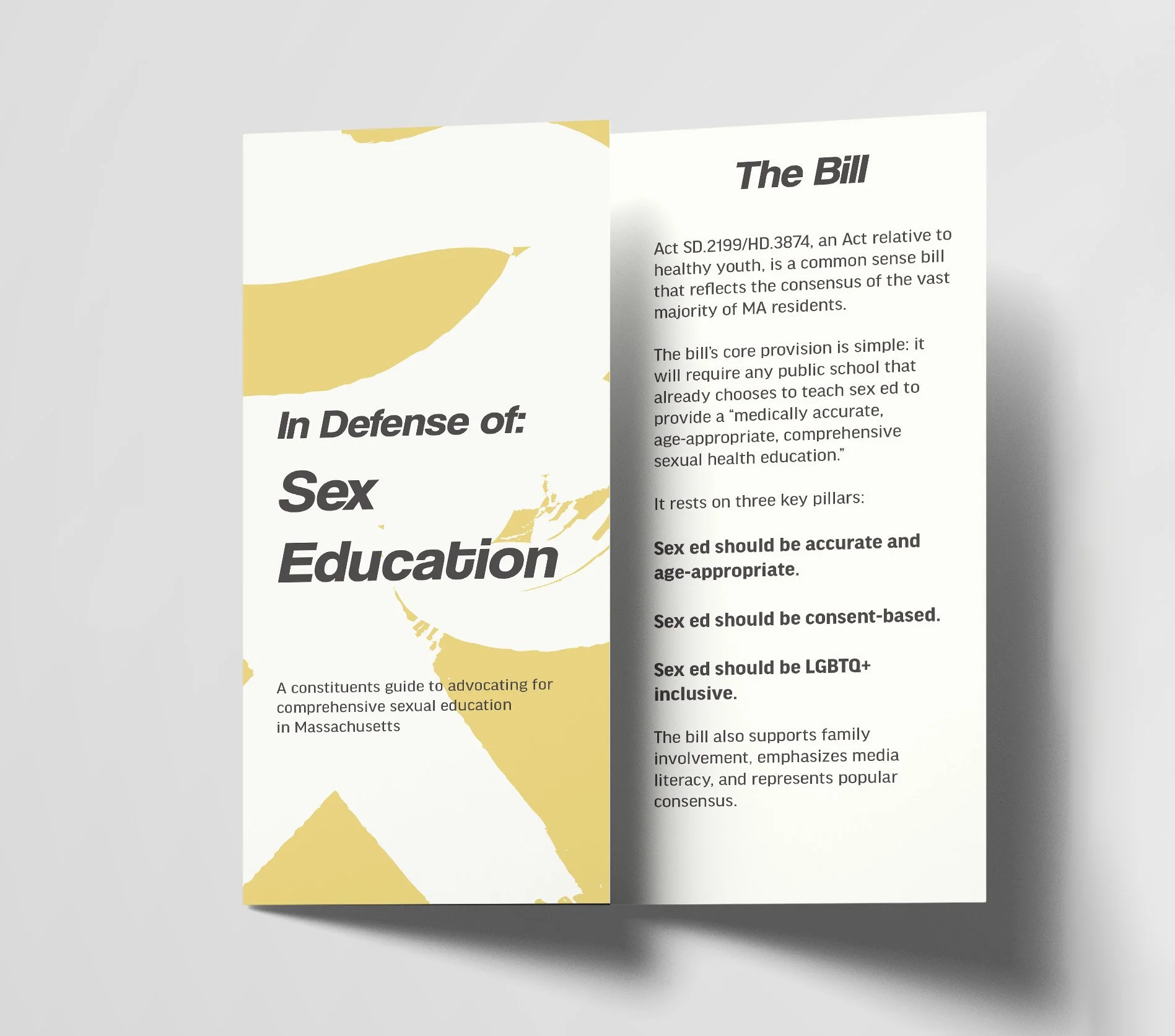 sex brochure mockup 2.JPG